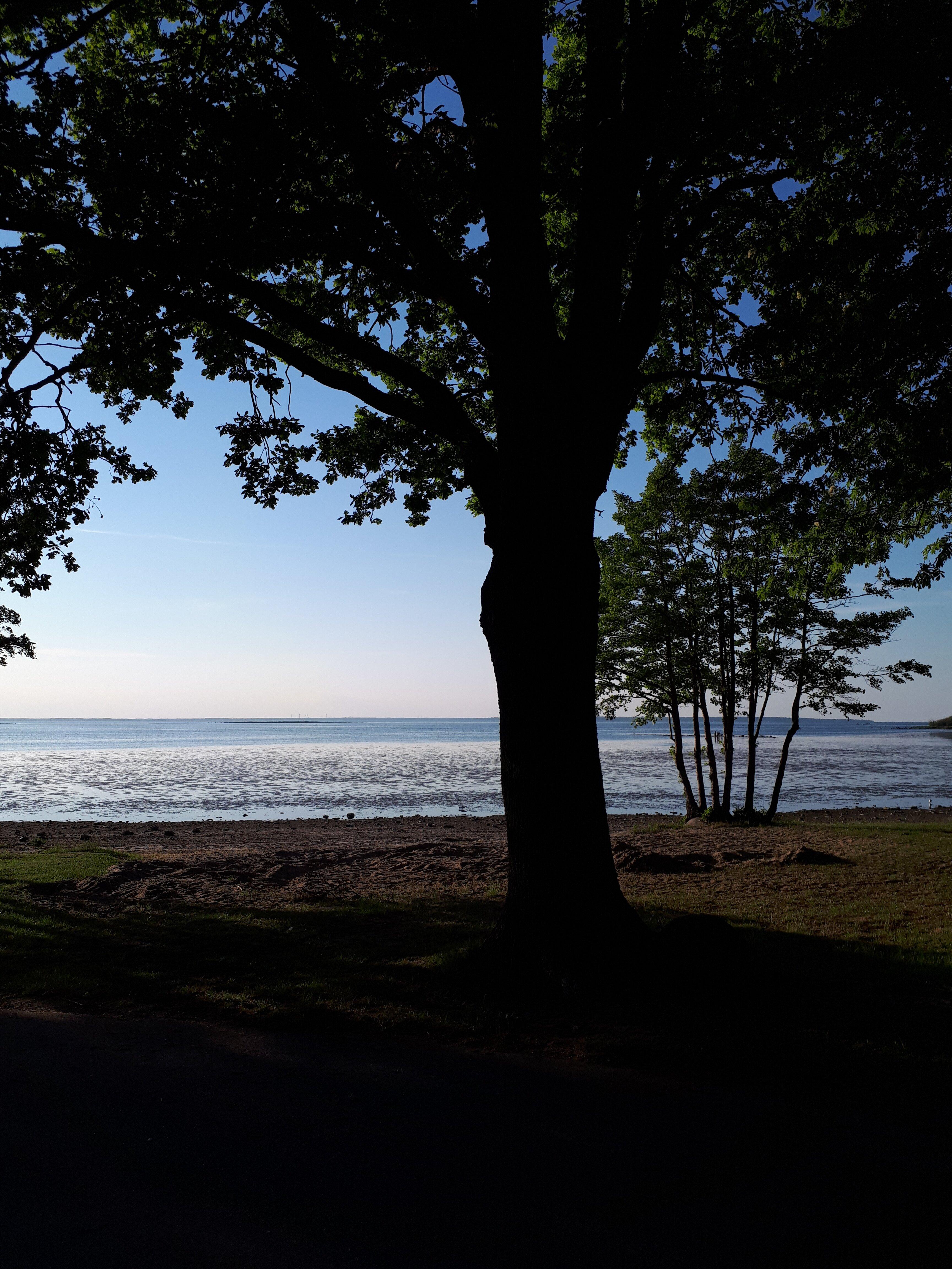 Restaurang Saxtugget