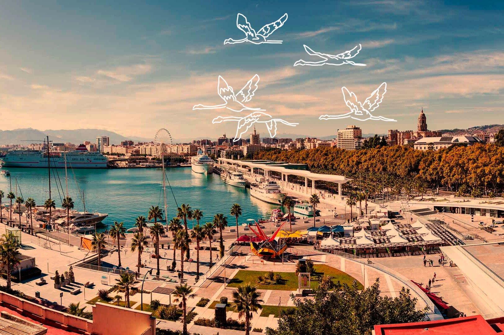 Málaga Tours & Trips by Flamingo