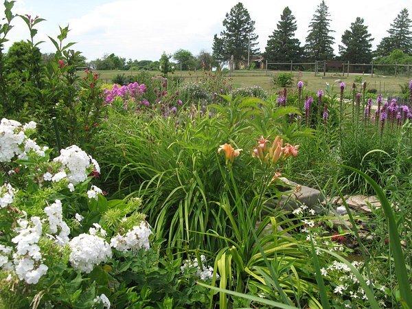 Harmony Arboretum & Demonstration Gardens