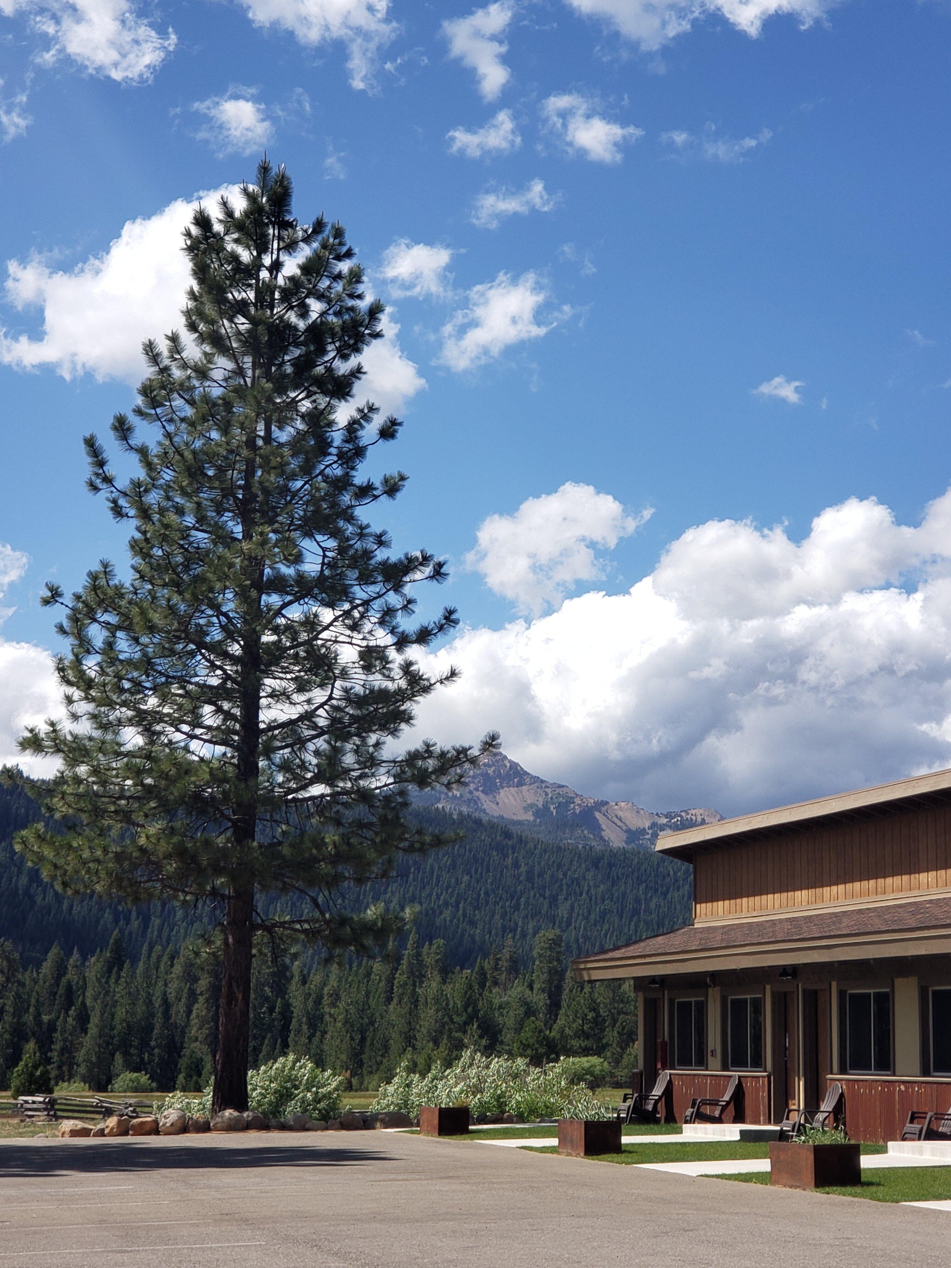 The Village at Childs Meadow