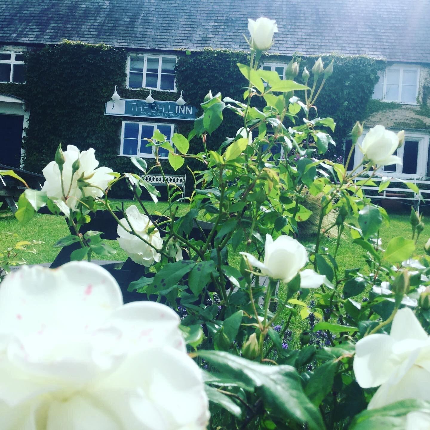 The Bell East Langton