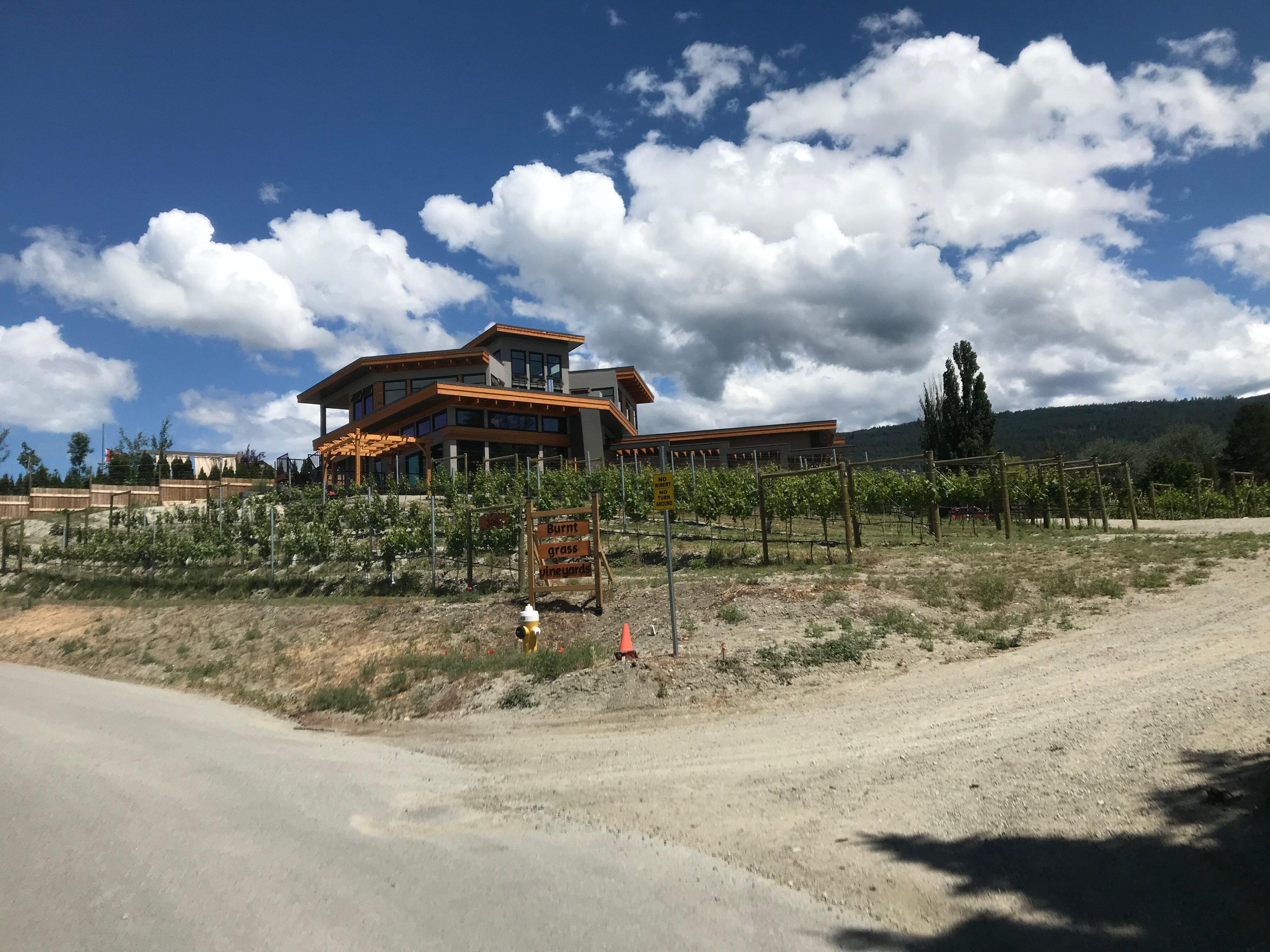 Burnt Grass Vineyards