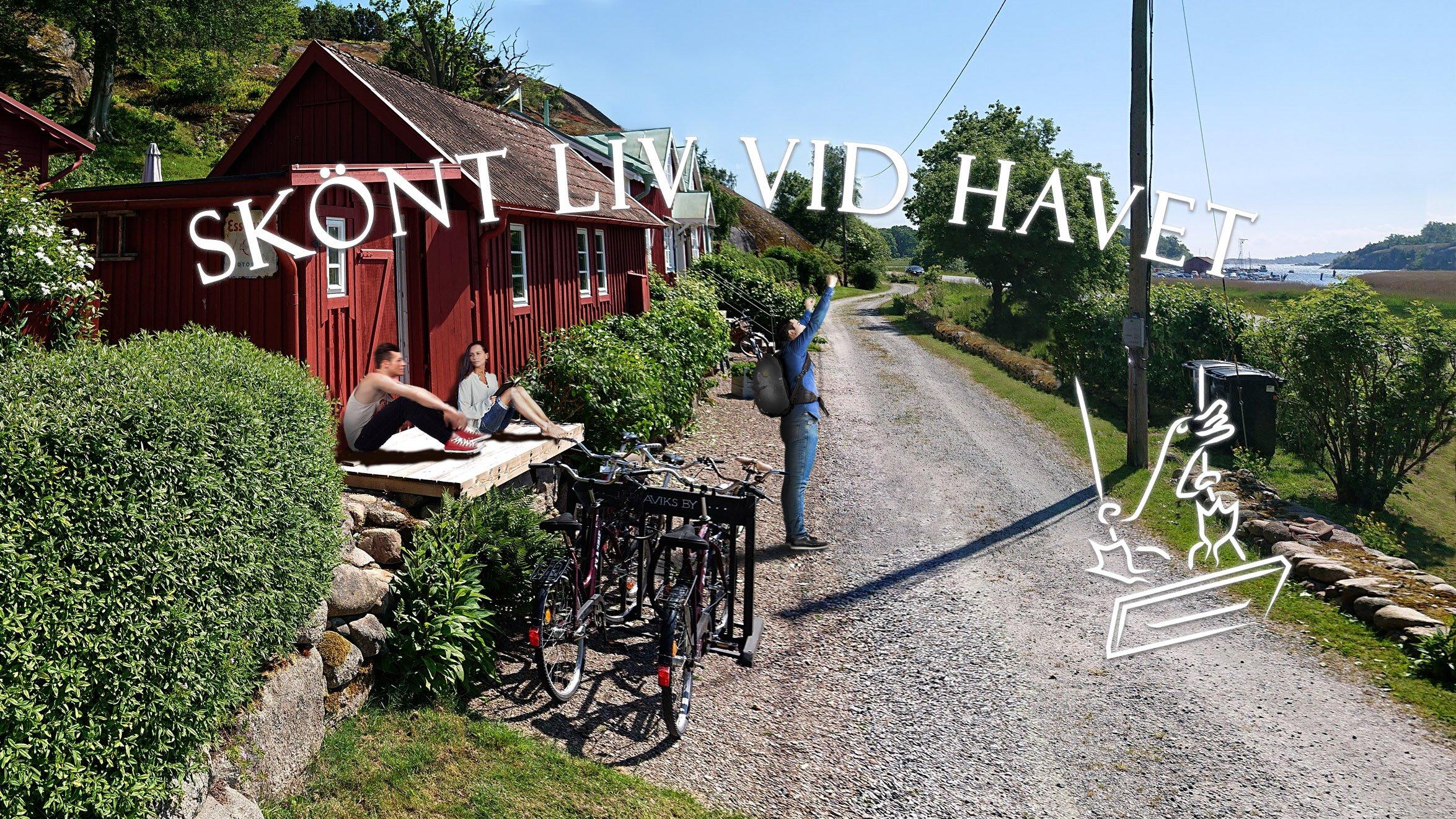 Den Gungande Gåsen - Järnavik