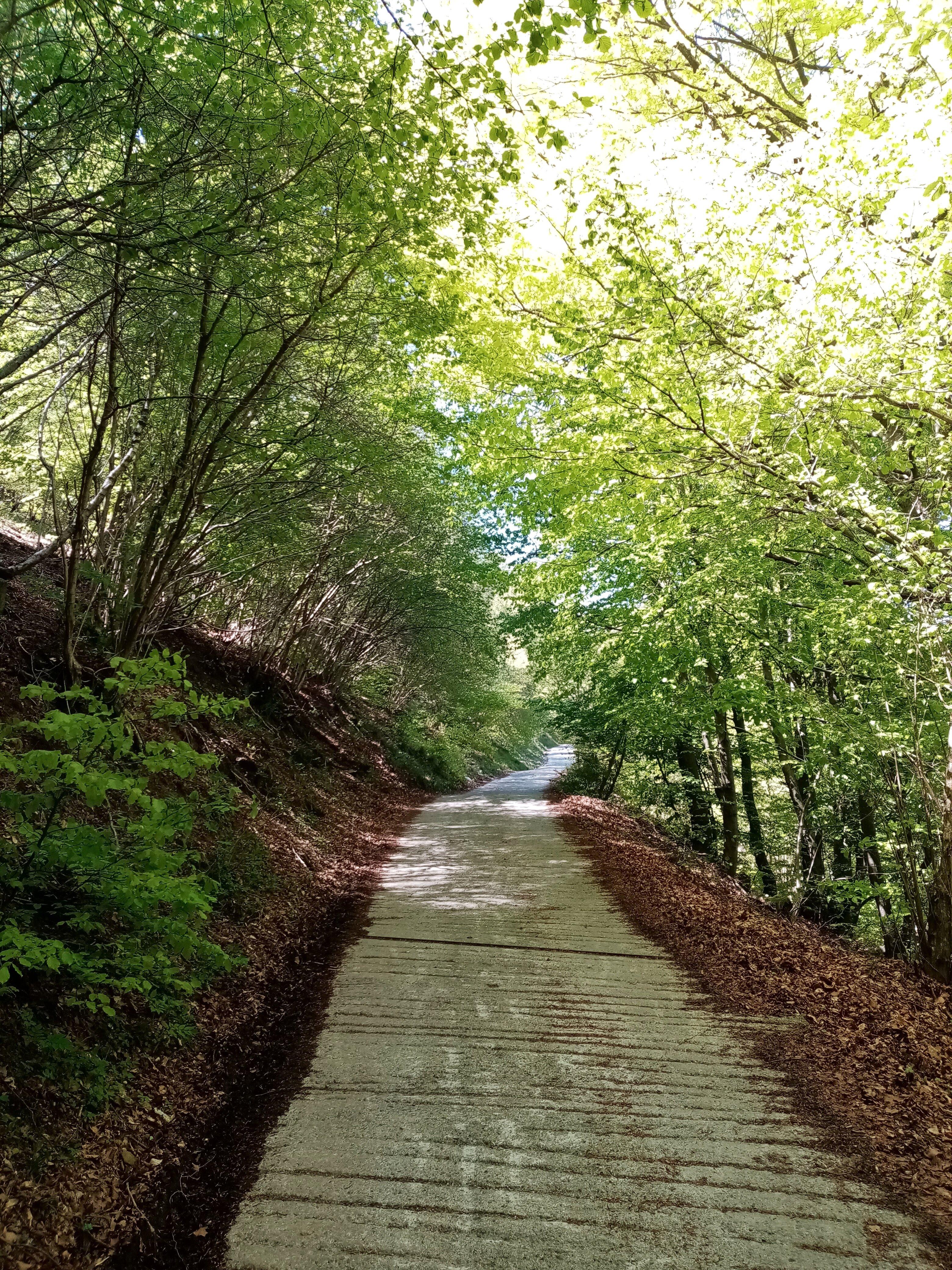 Via dei Monti Lariani
