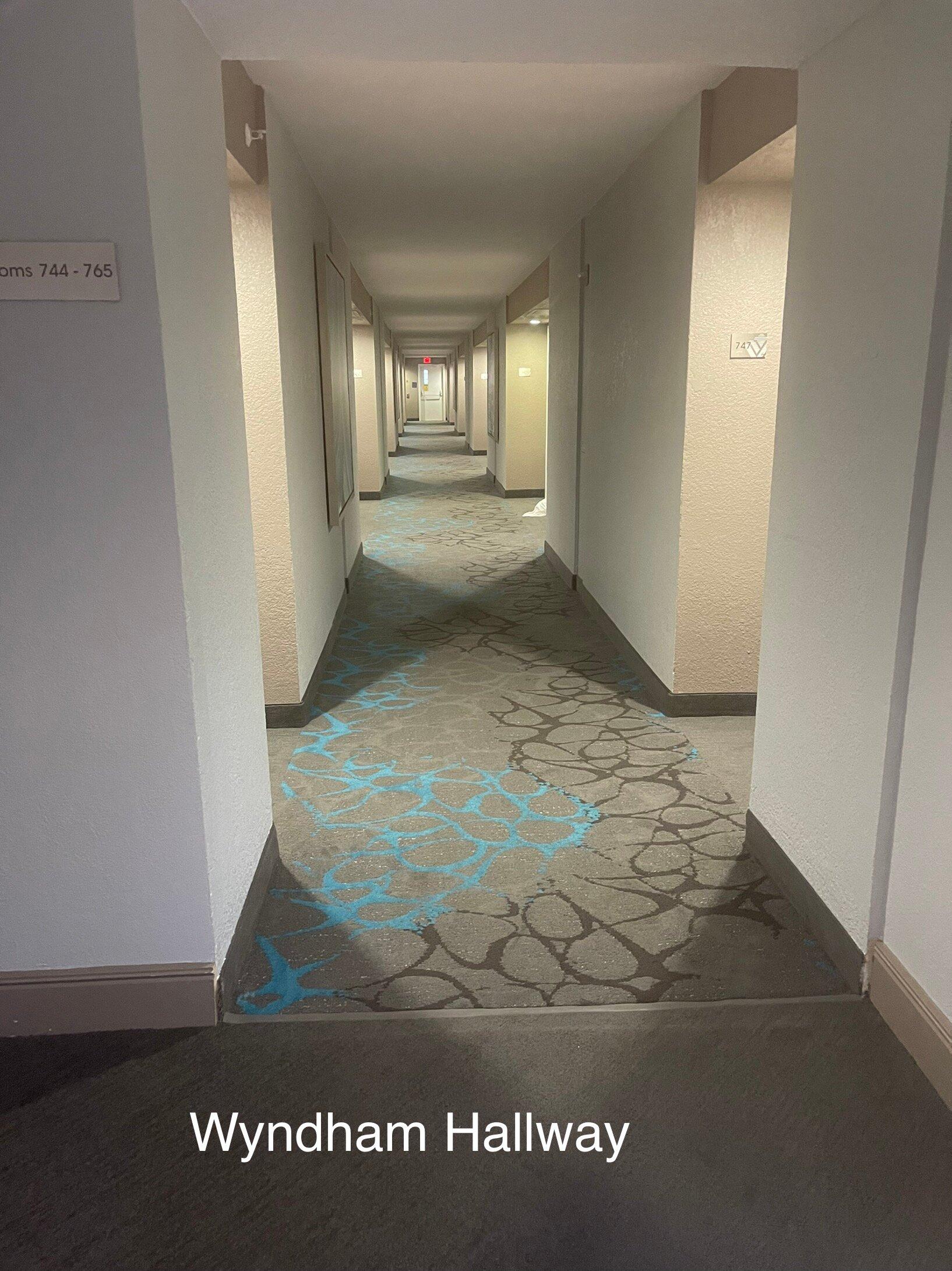 Photo by LuckyOtter313