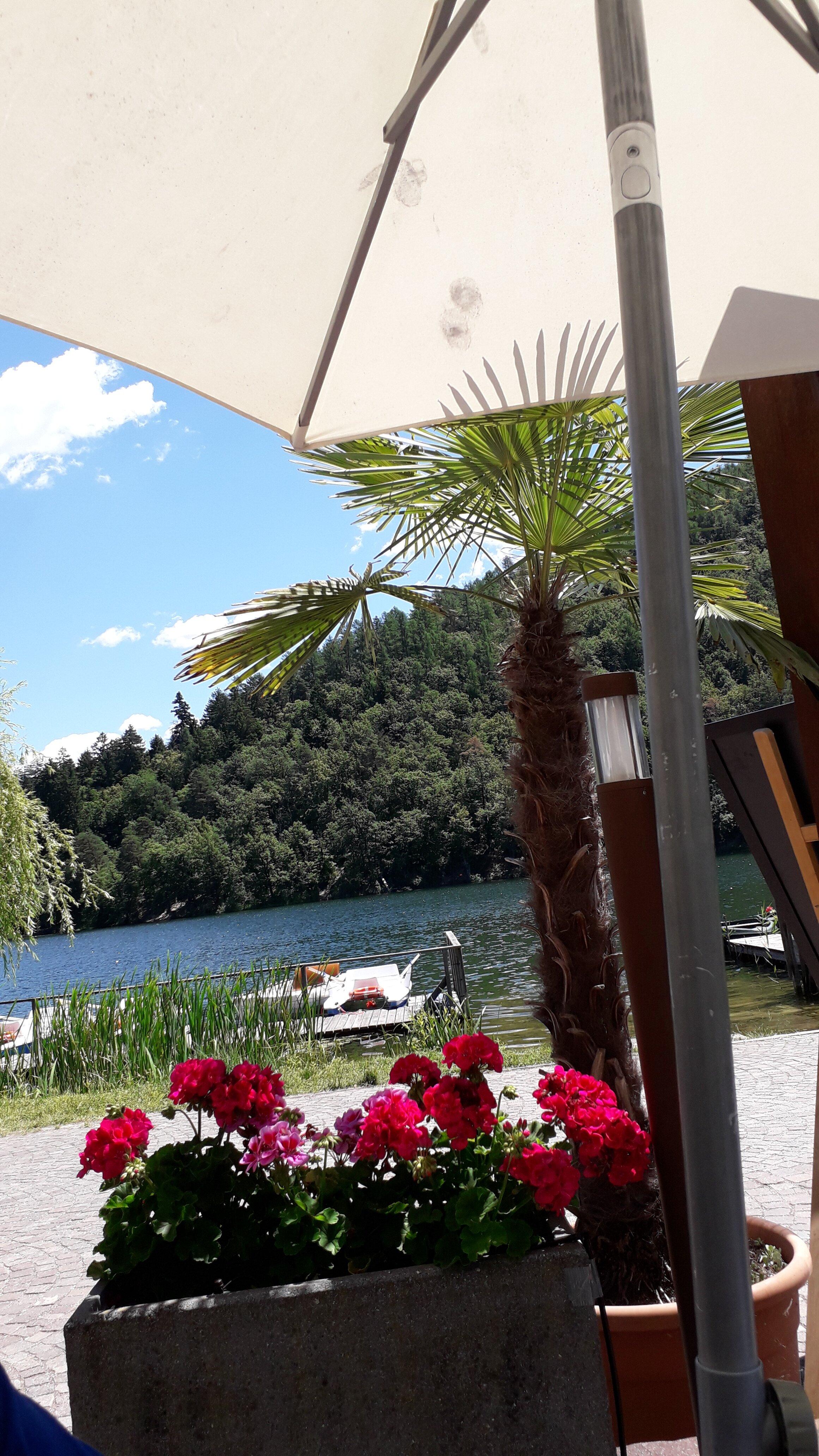 Restaurant Seehotel Sparer