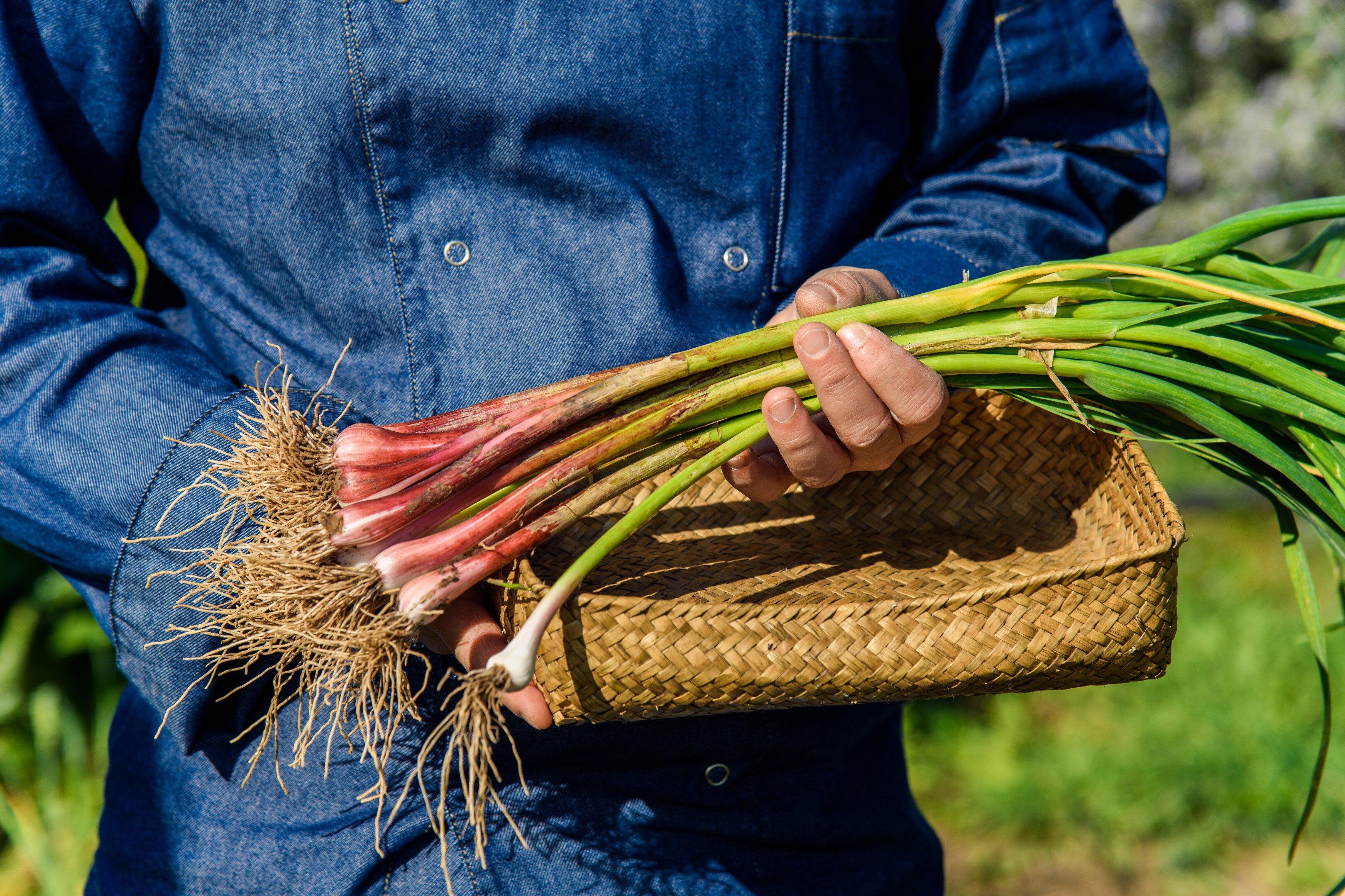 Chef Yves Cooking Experiences