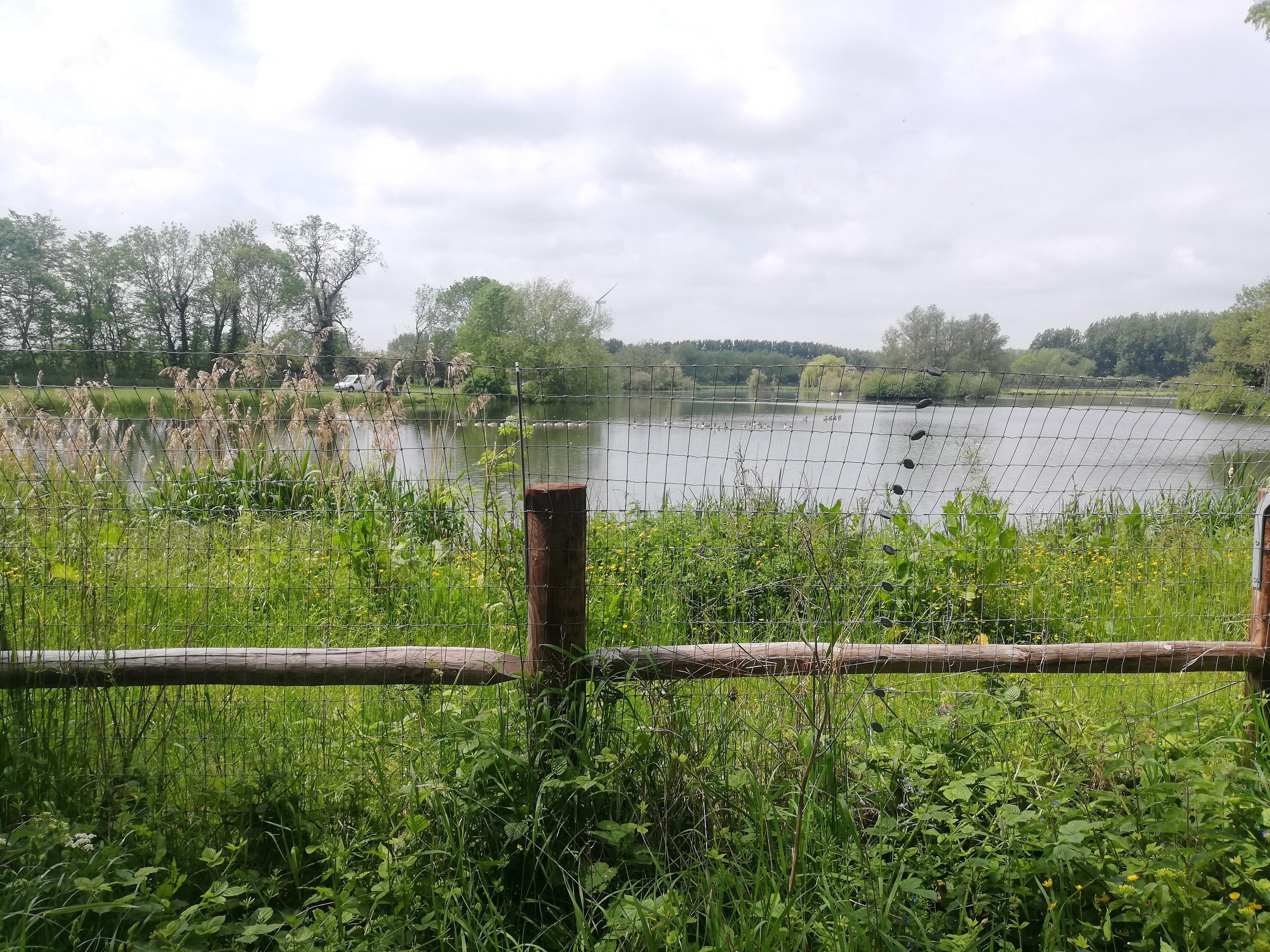 Cossington Lakes