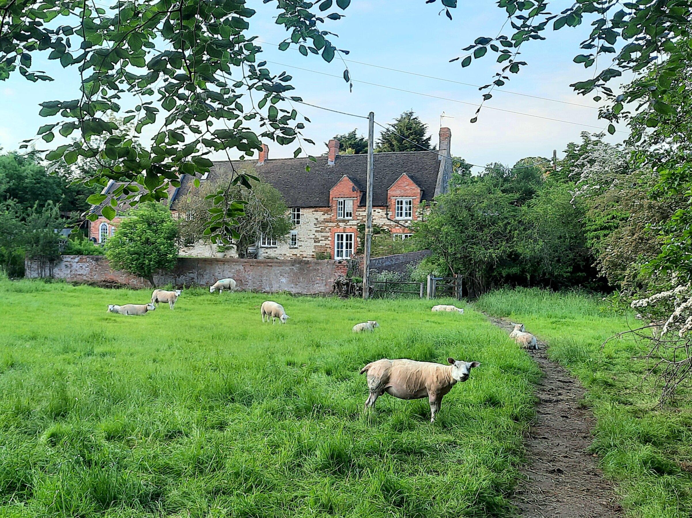 The Old Rectory Nr Silverstone