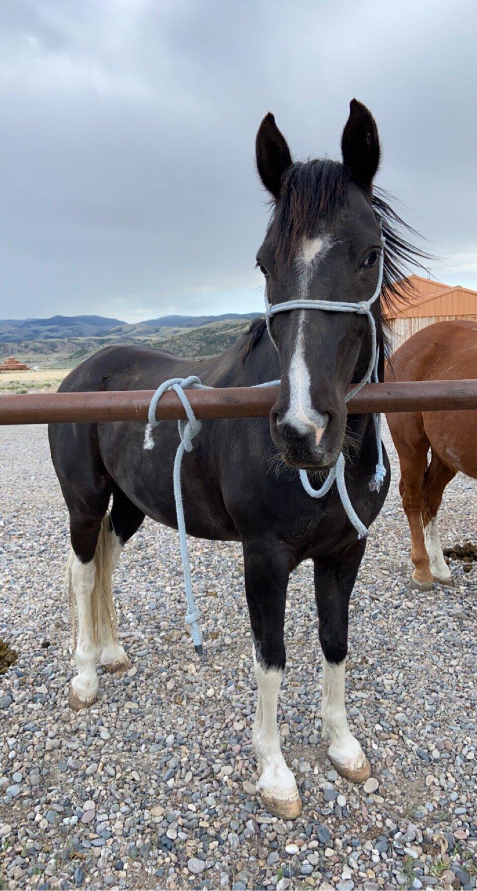 Headwaters Ranch