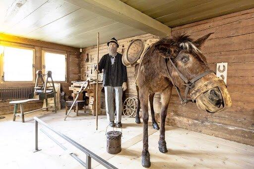 Photo by jurassica02