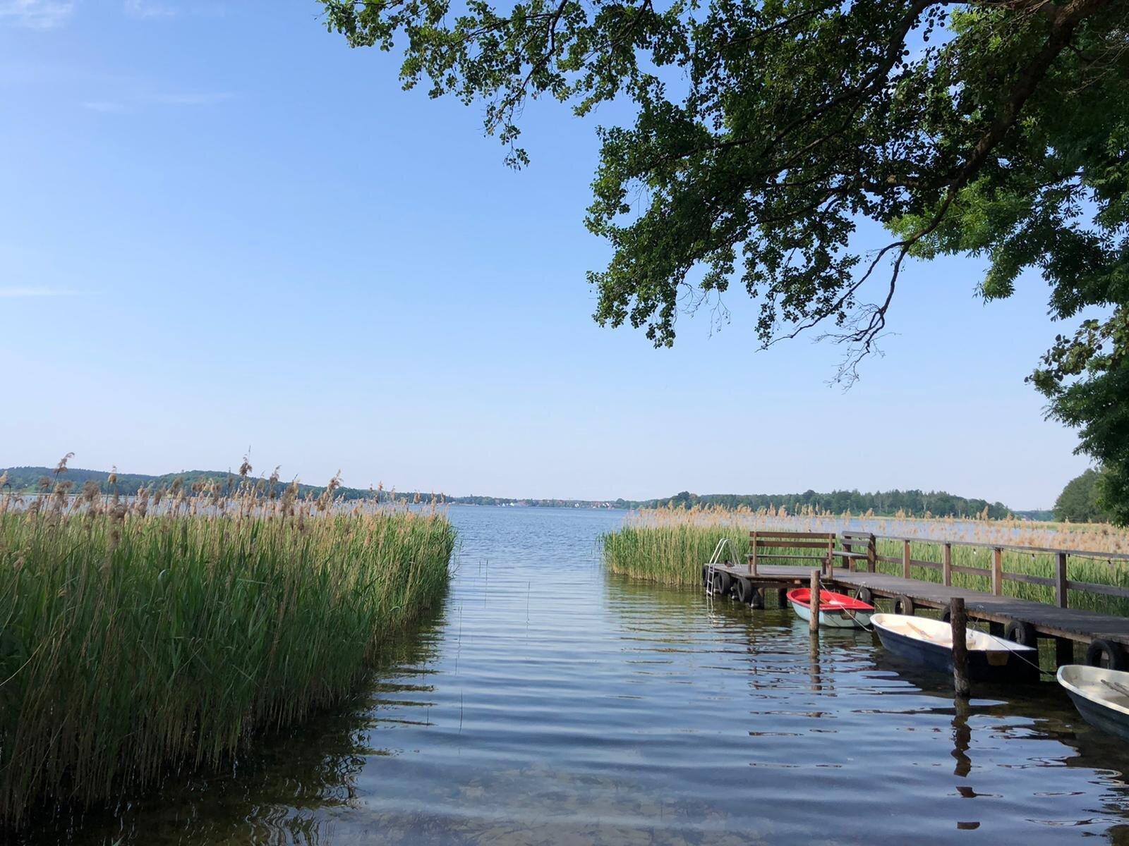 Photo by StillRunning14