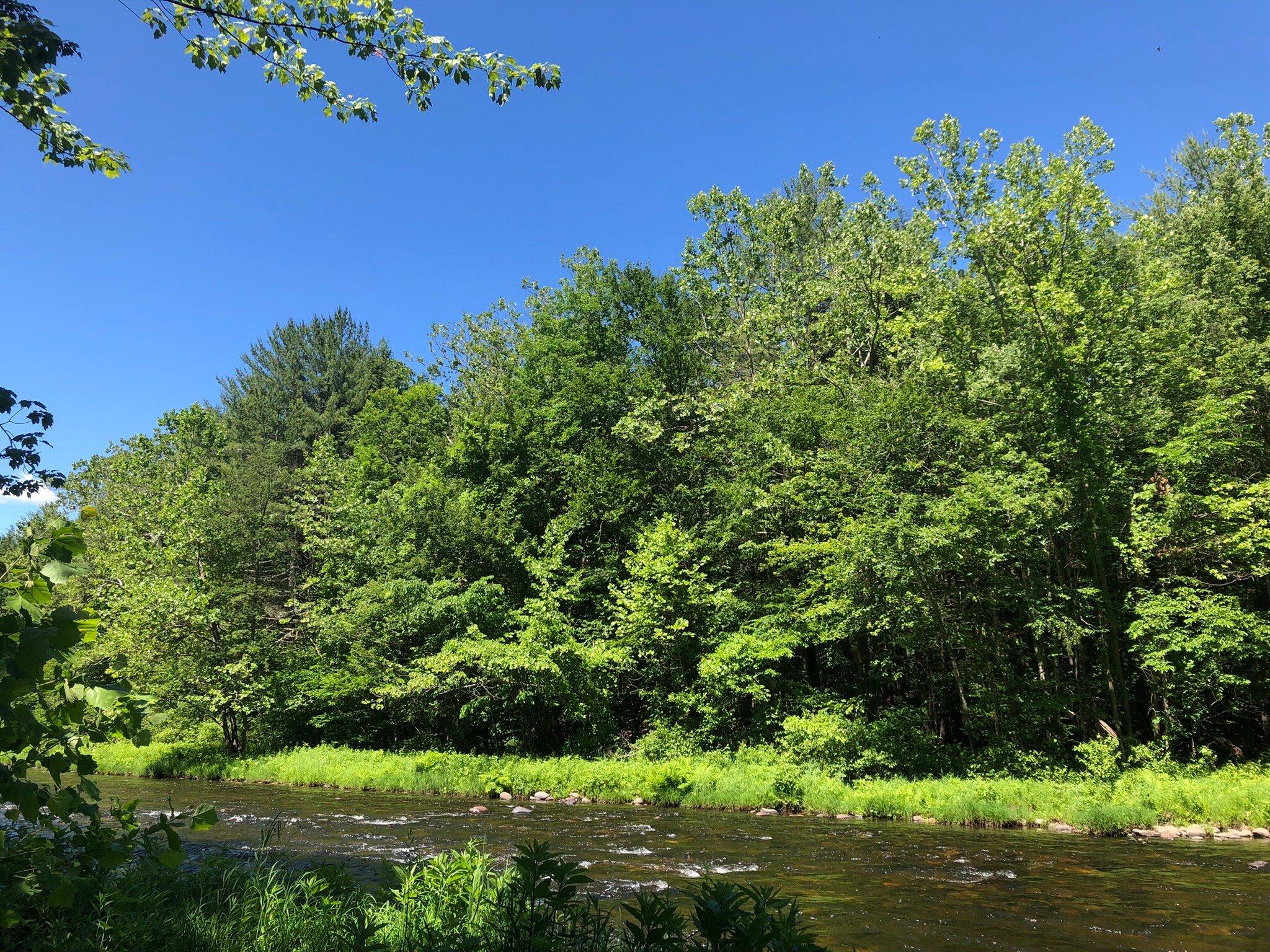 C.M. Gardner State Park