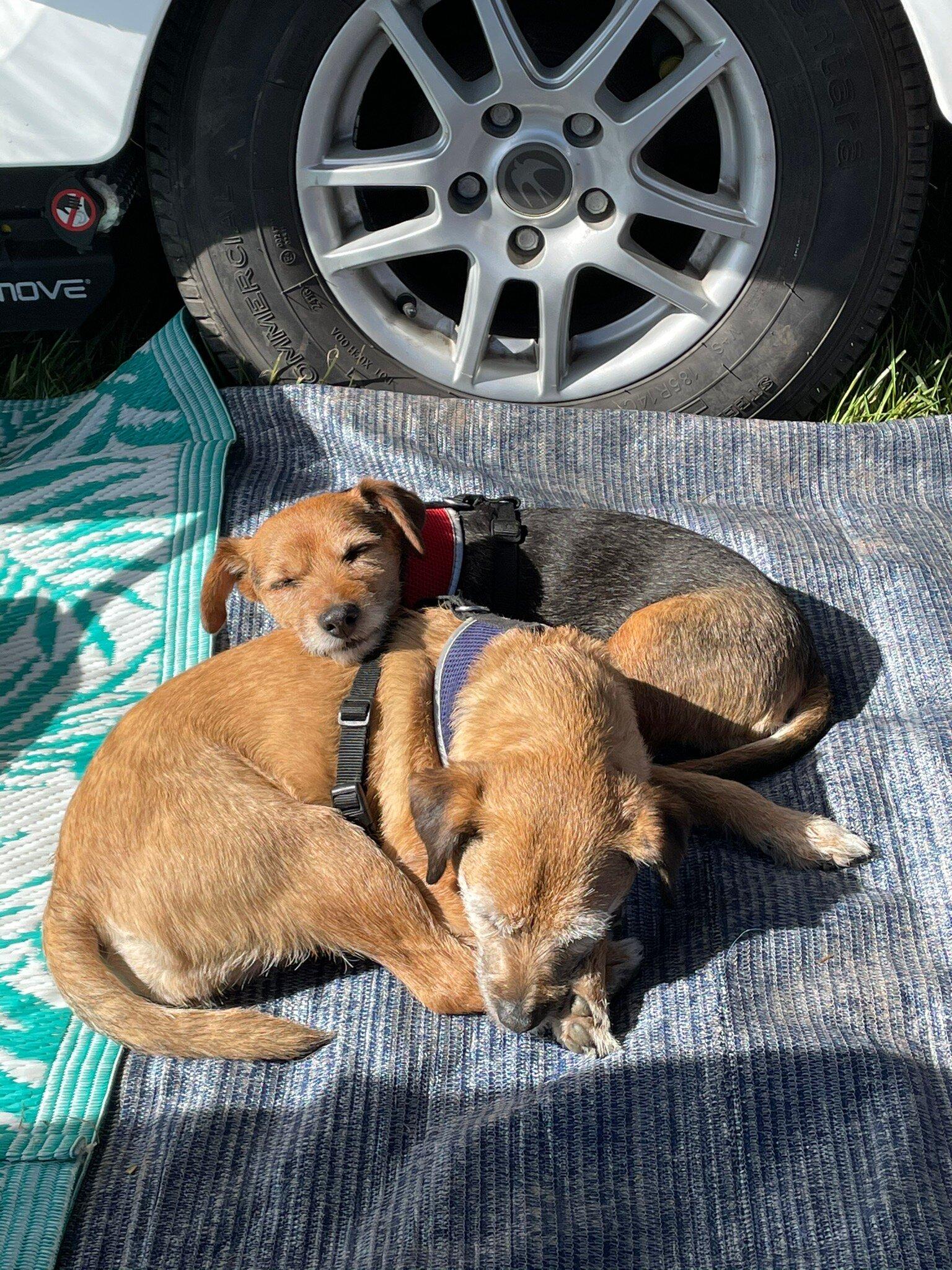 The Gardeners Farm Shop