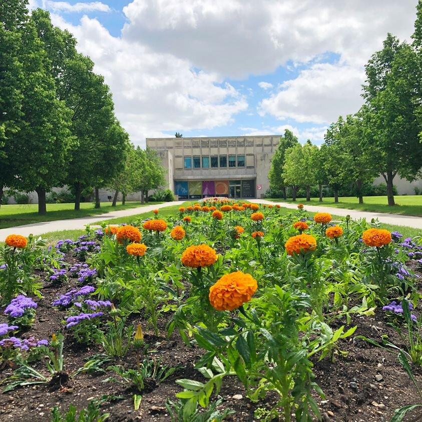 Royal Saskatchewan Museum