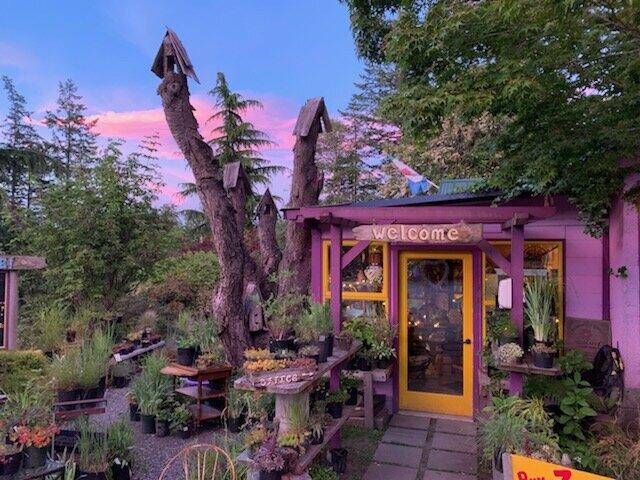 Photo by Tour47823856376