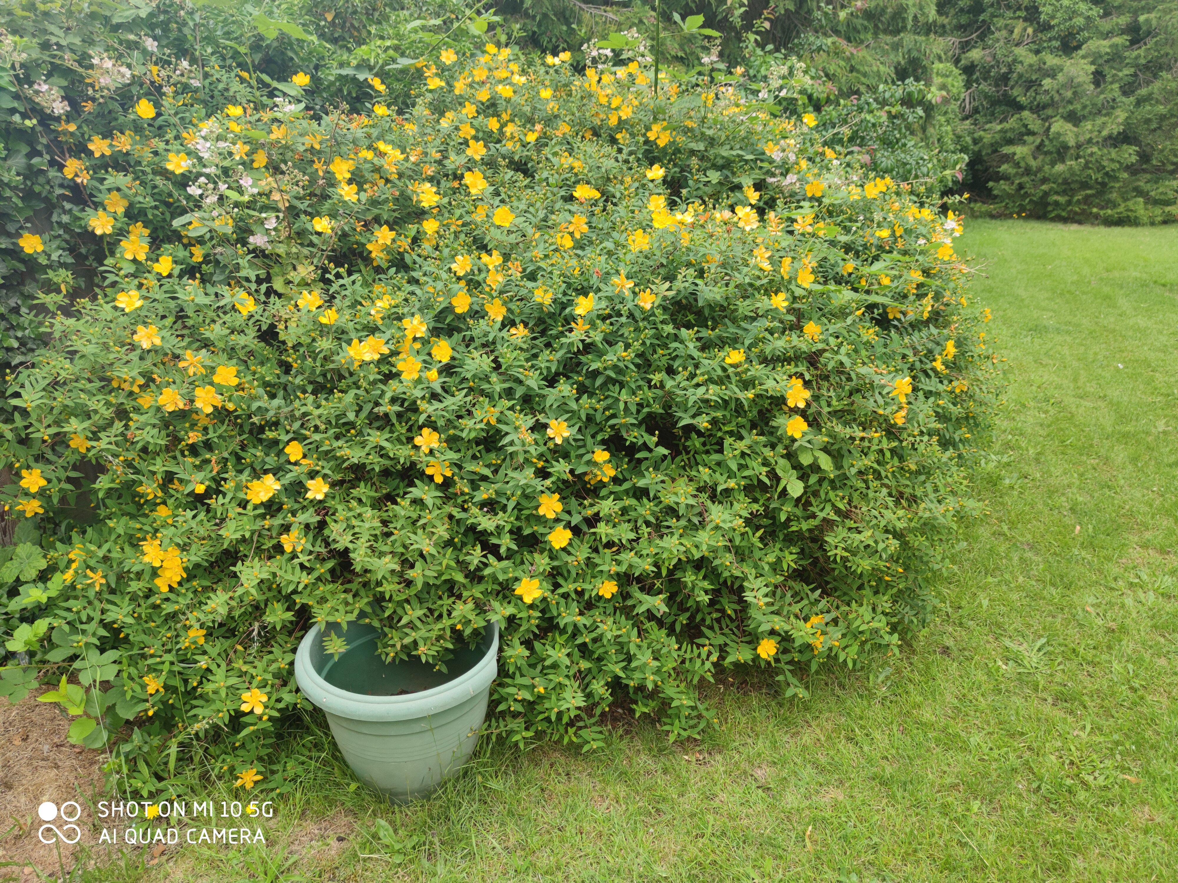 Sussex Lodge Guest House