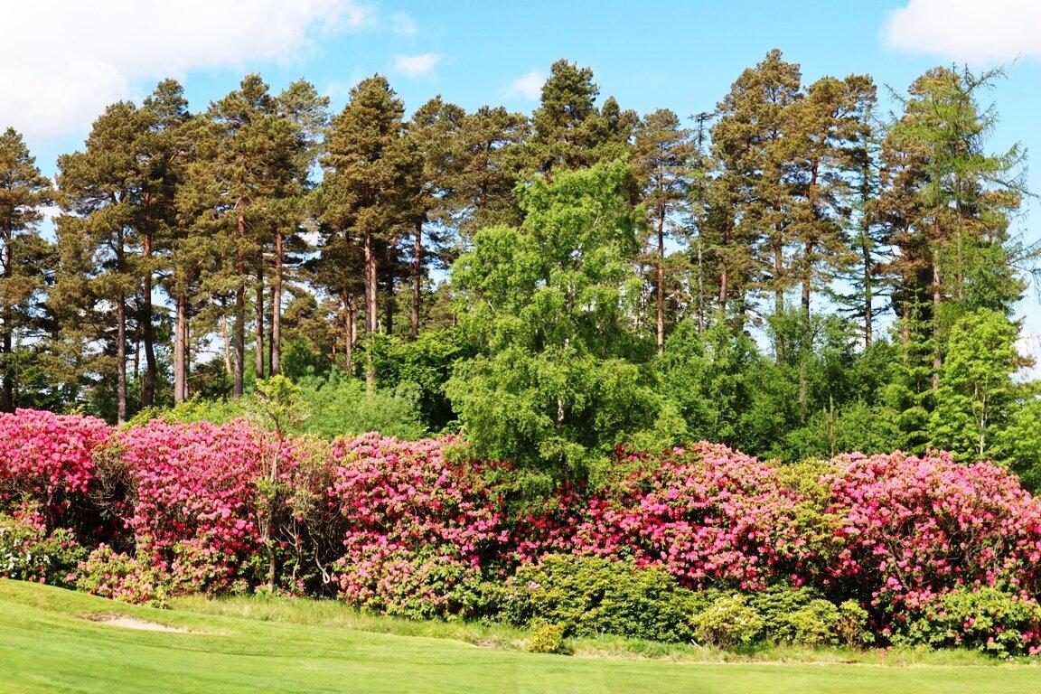 Slaley Hall, Hotel Spa & Golf Resort