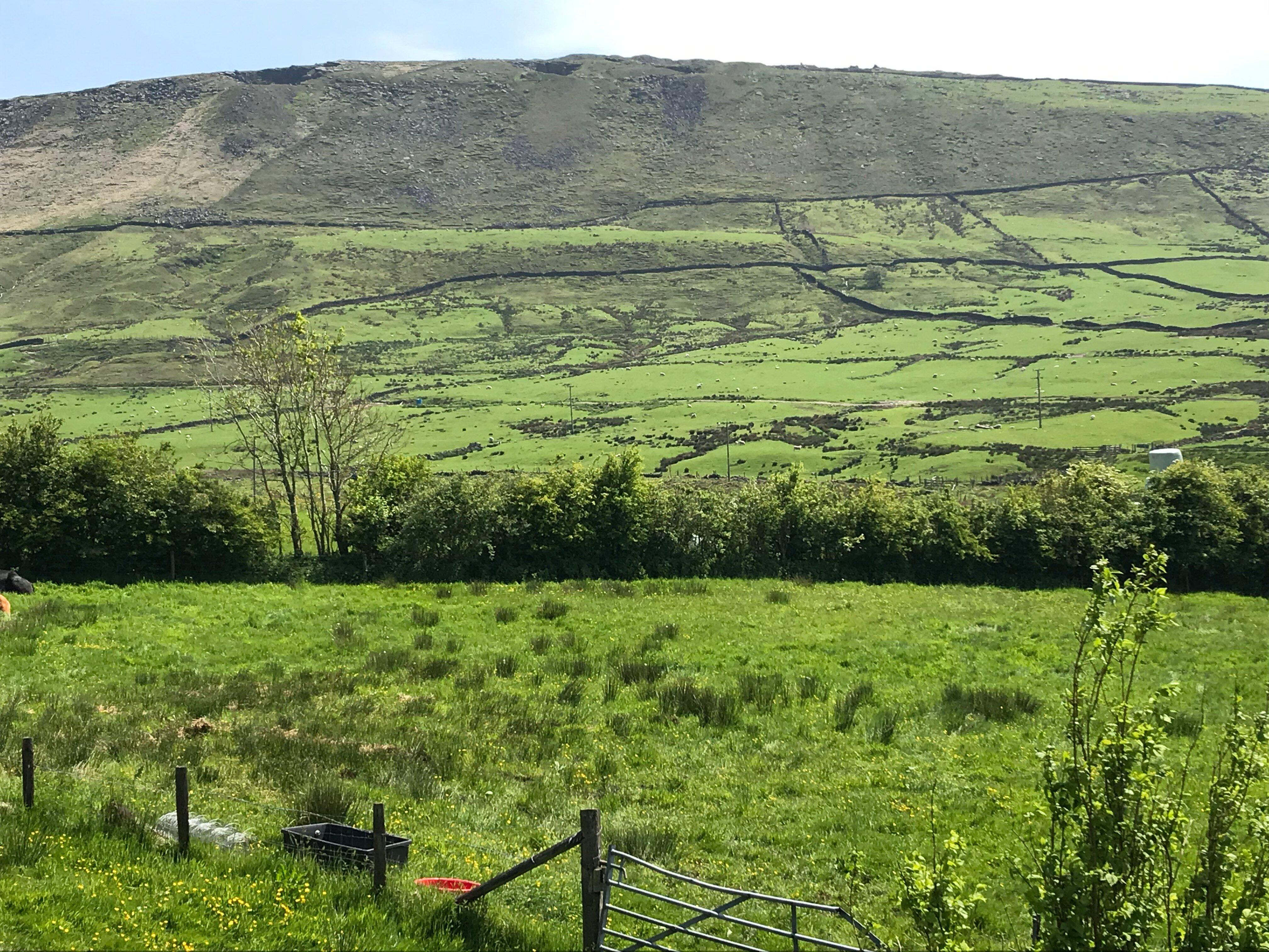 Sunfield Accommodation