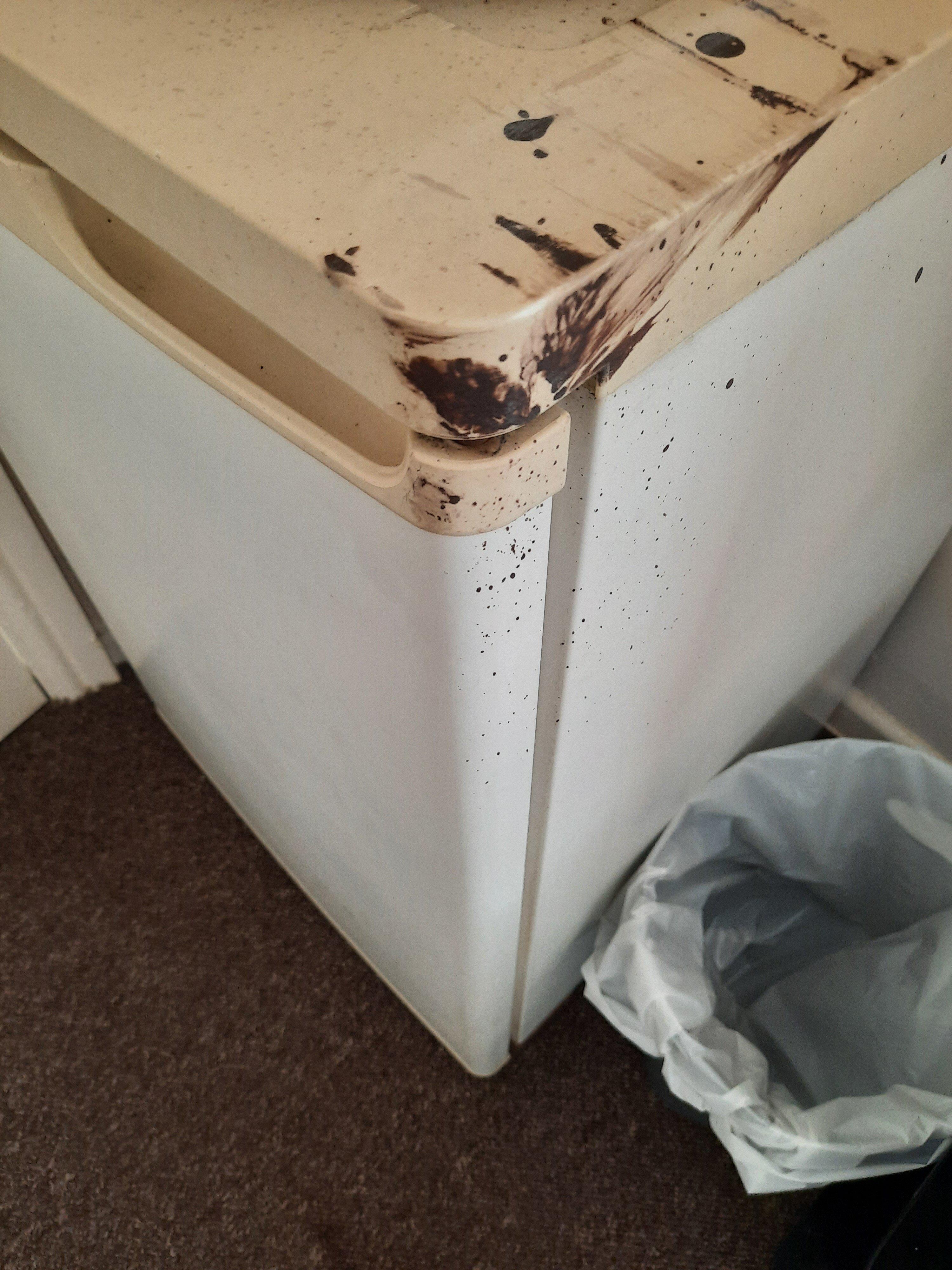 The Olive and Ginger Guest