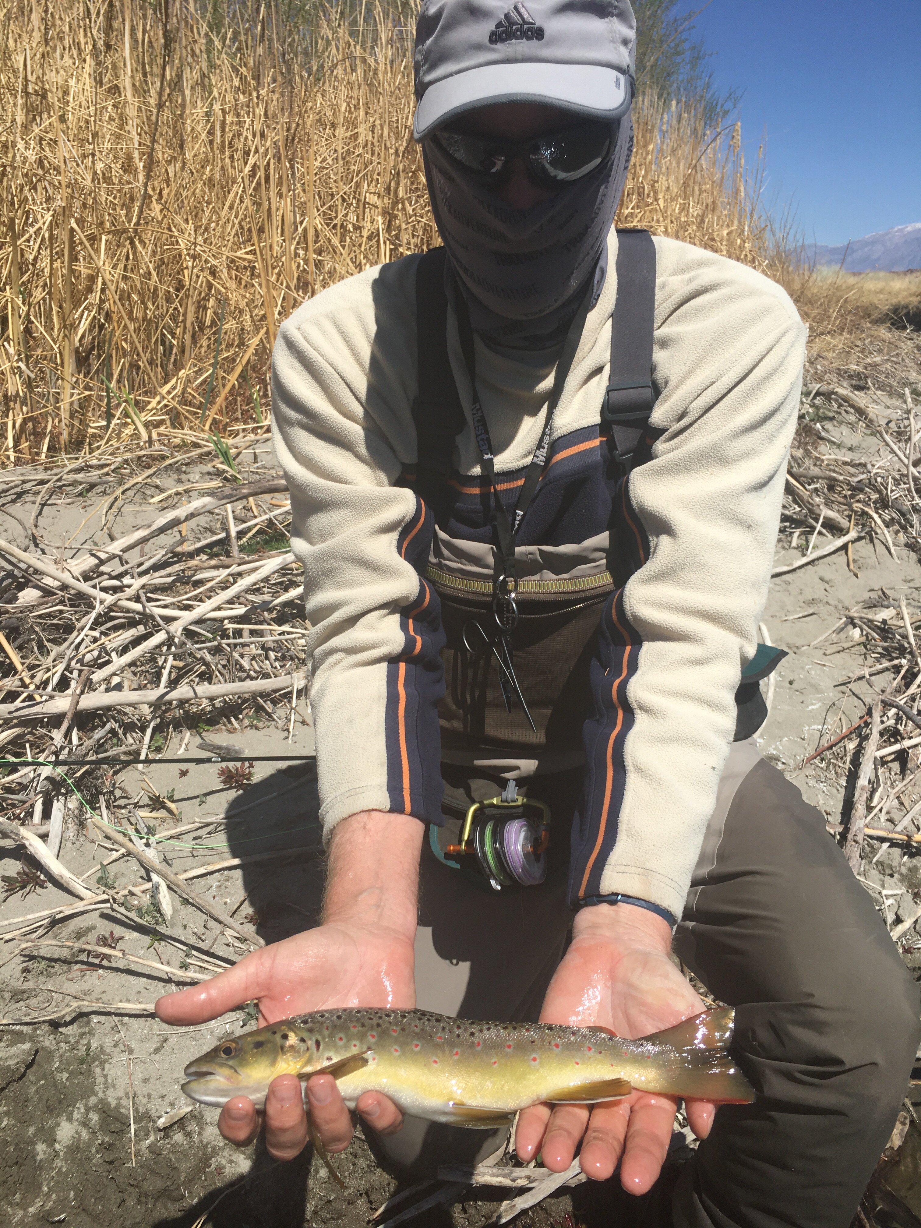 Sierra Trout Magnet