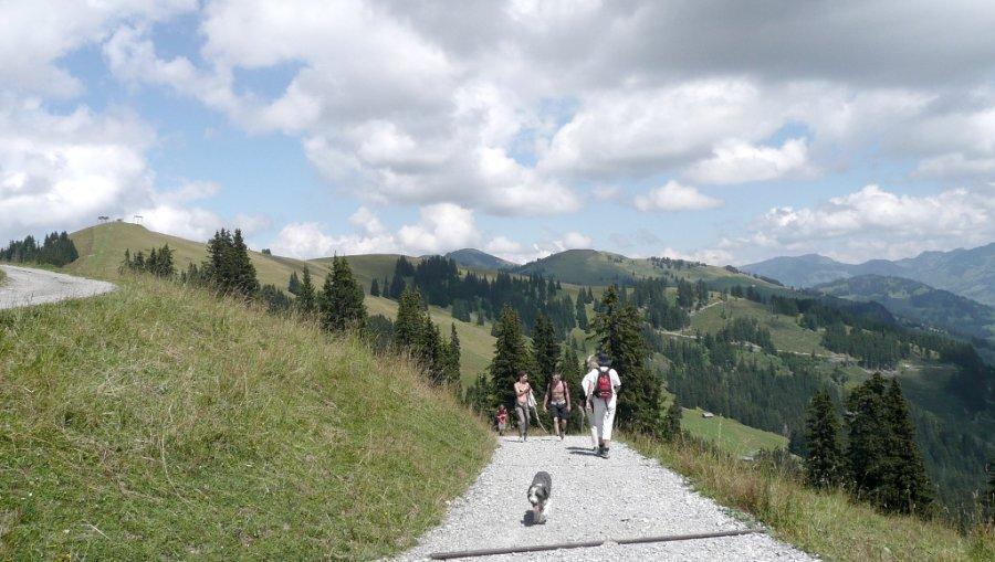 Schönried - Rellerli - Grossi Vorschess - Bergmatte - Schönried