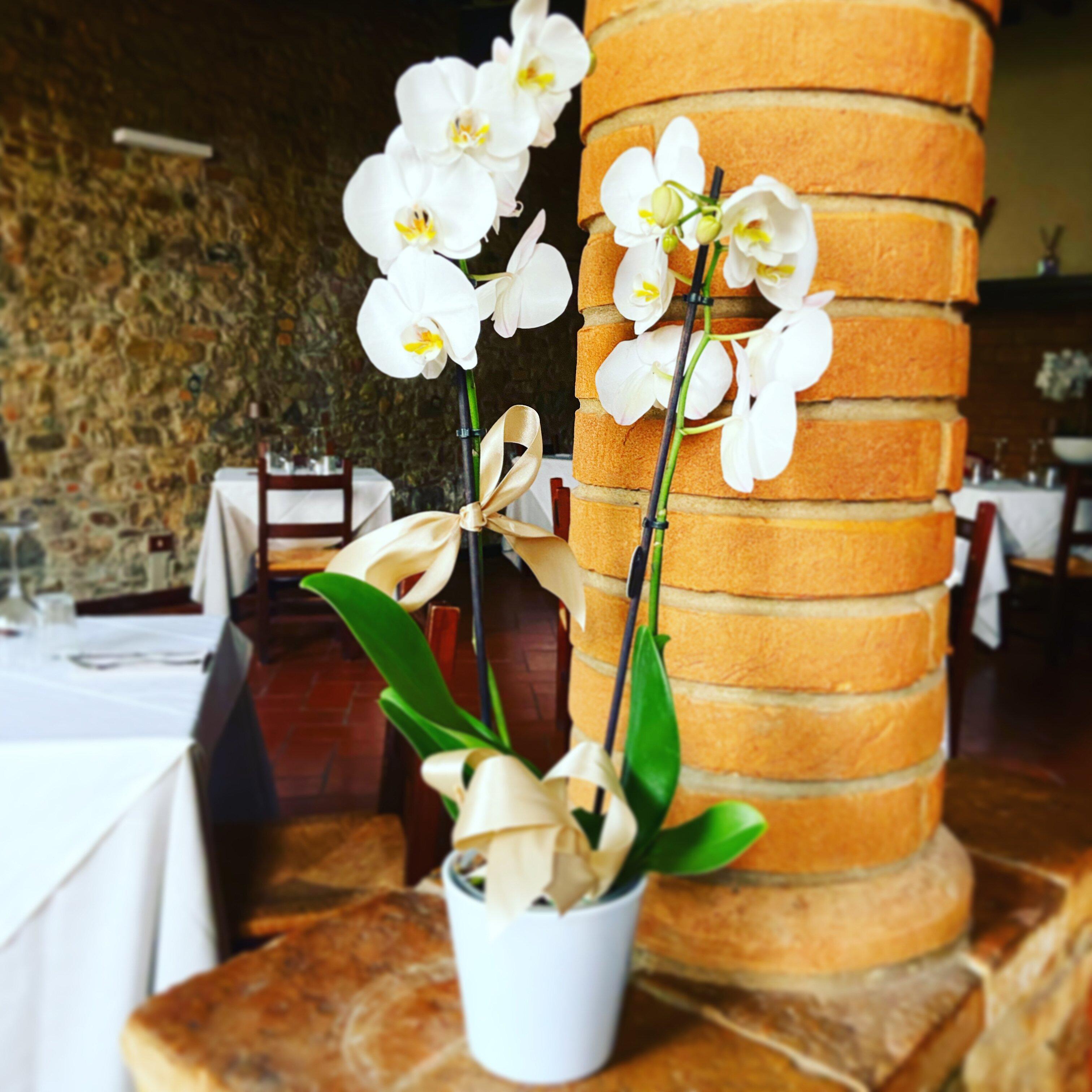 Osteria Del Castello