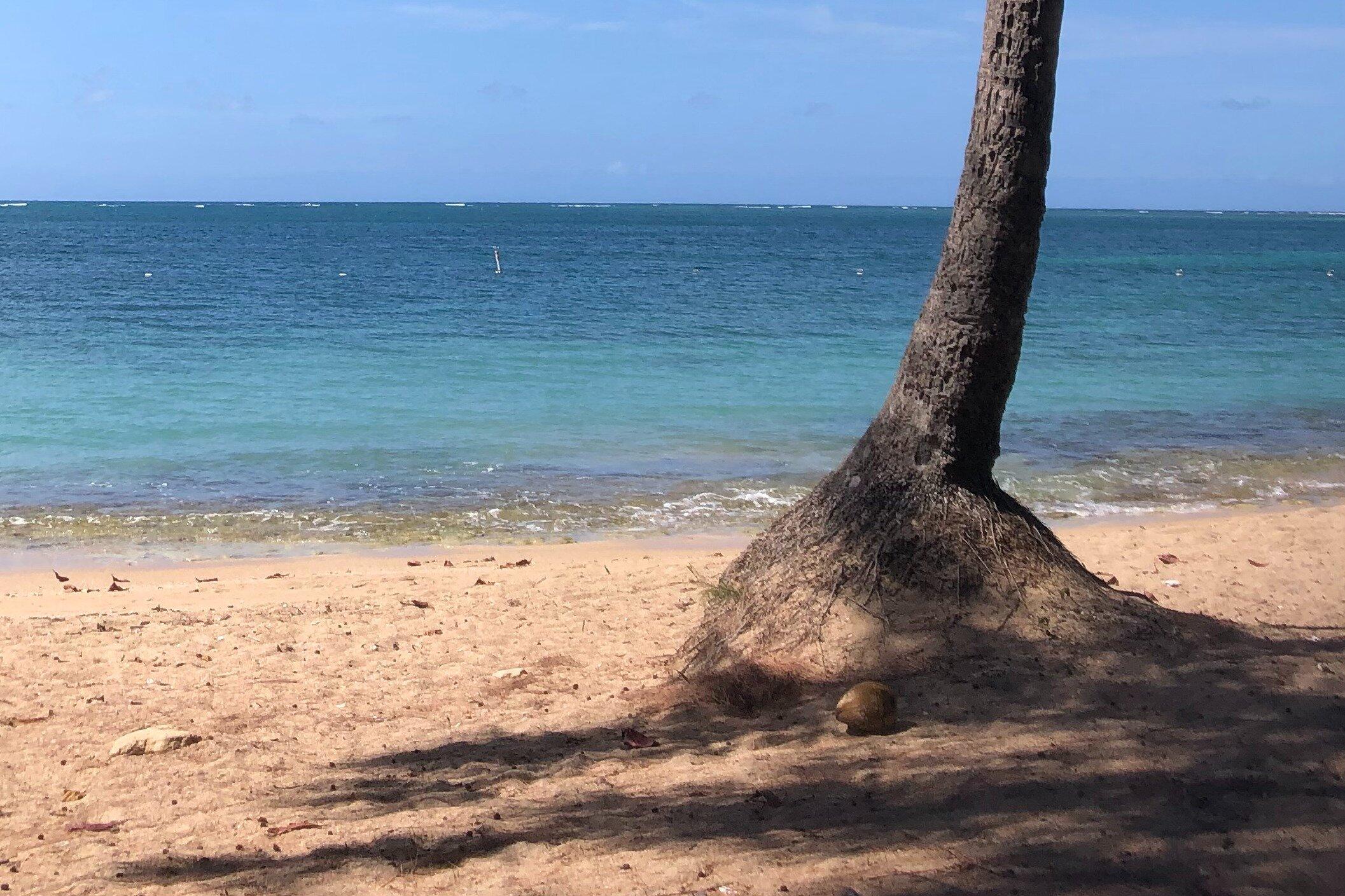 Puerto Rico Gay Tours