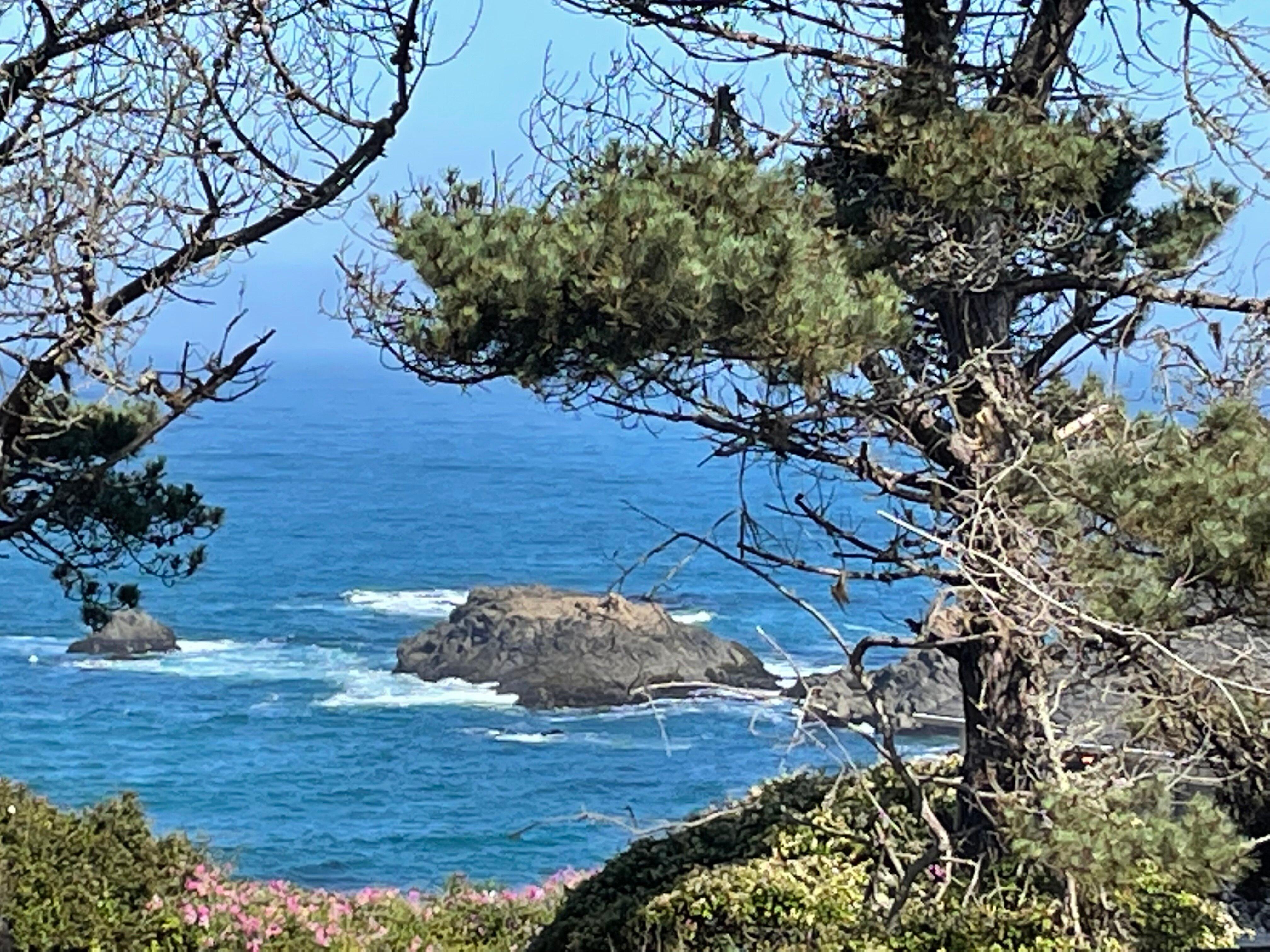 Headland Cove Retreat