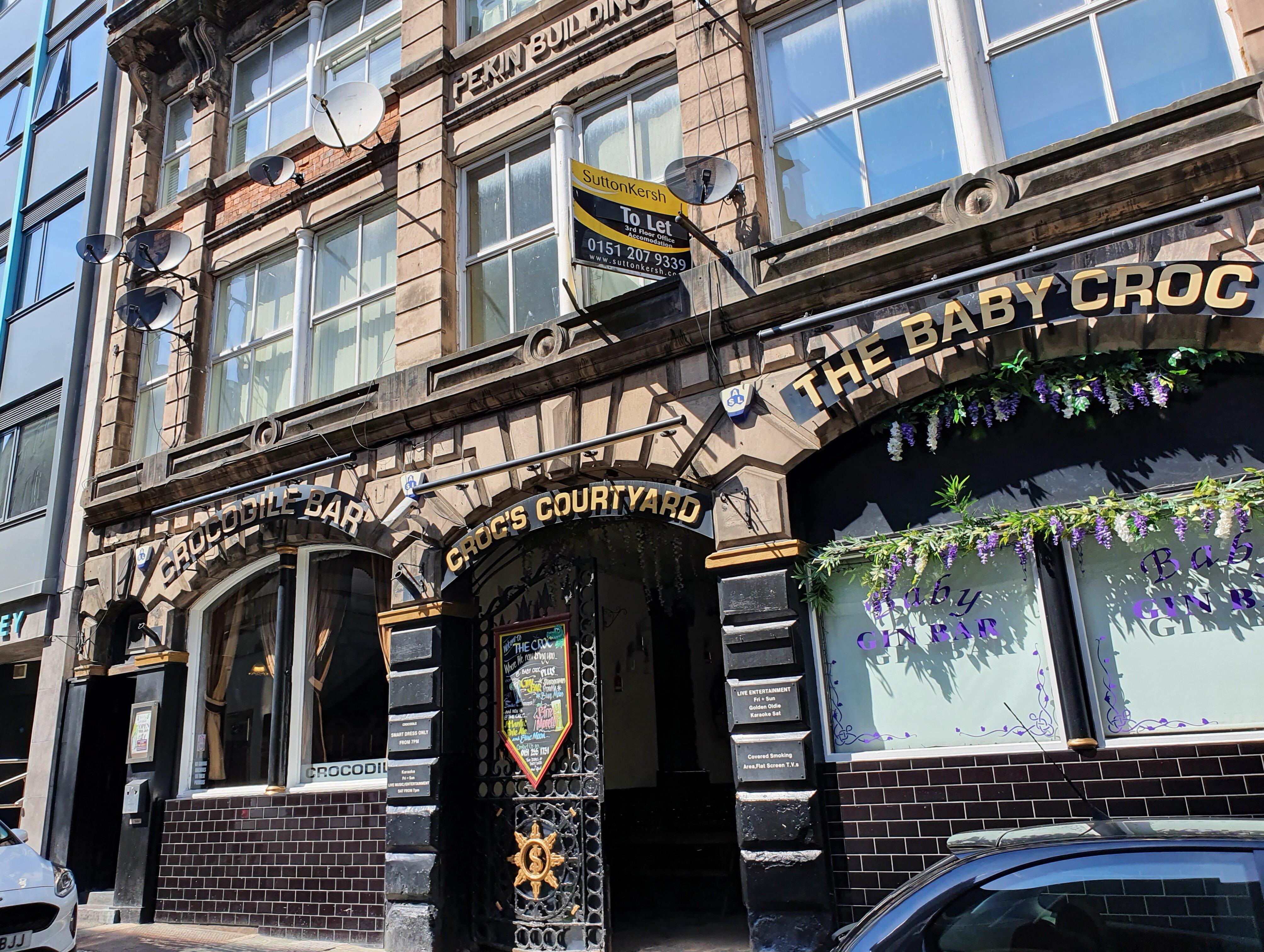 The Crocodile and Baby Croc