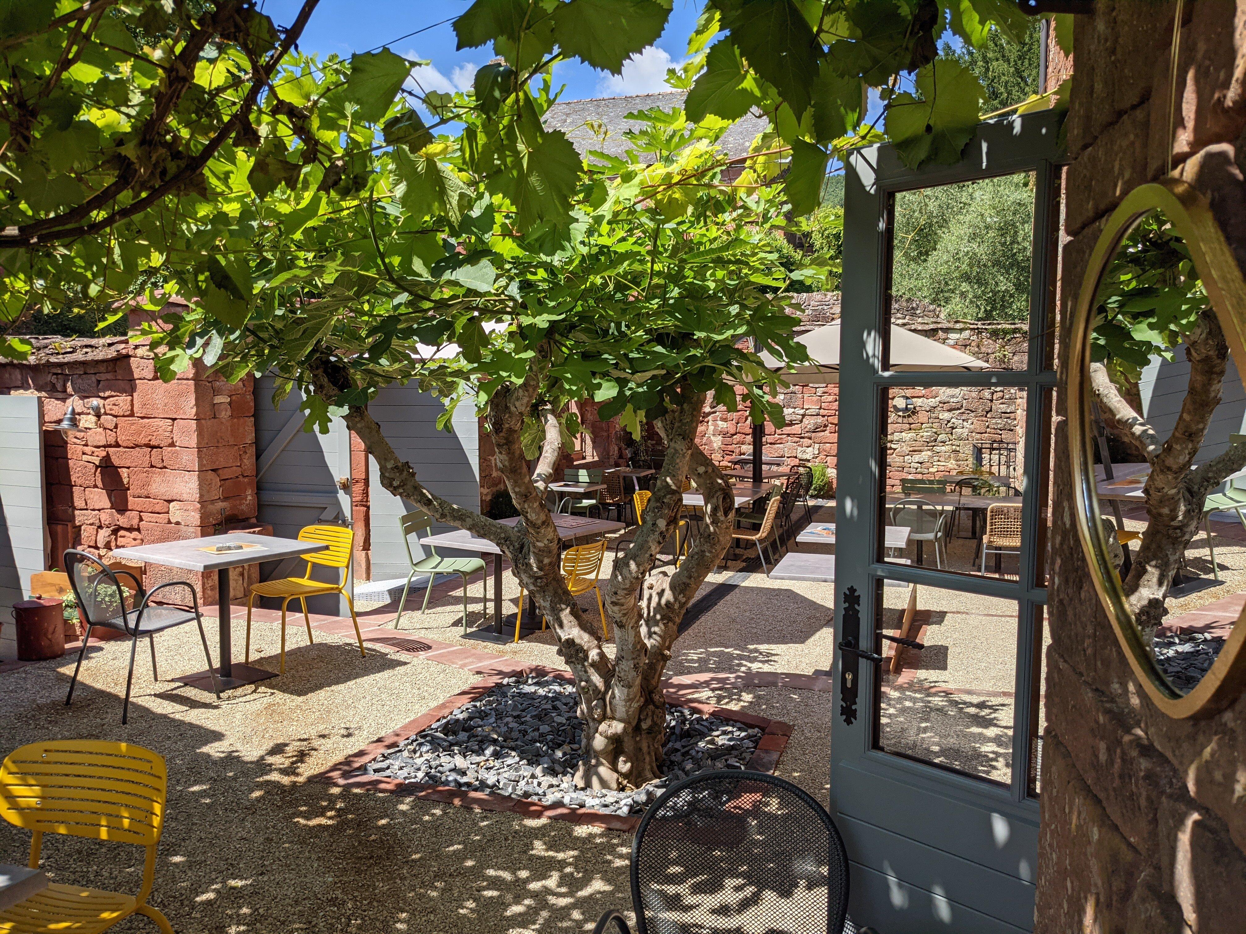 À L'ombre Du Figuier