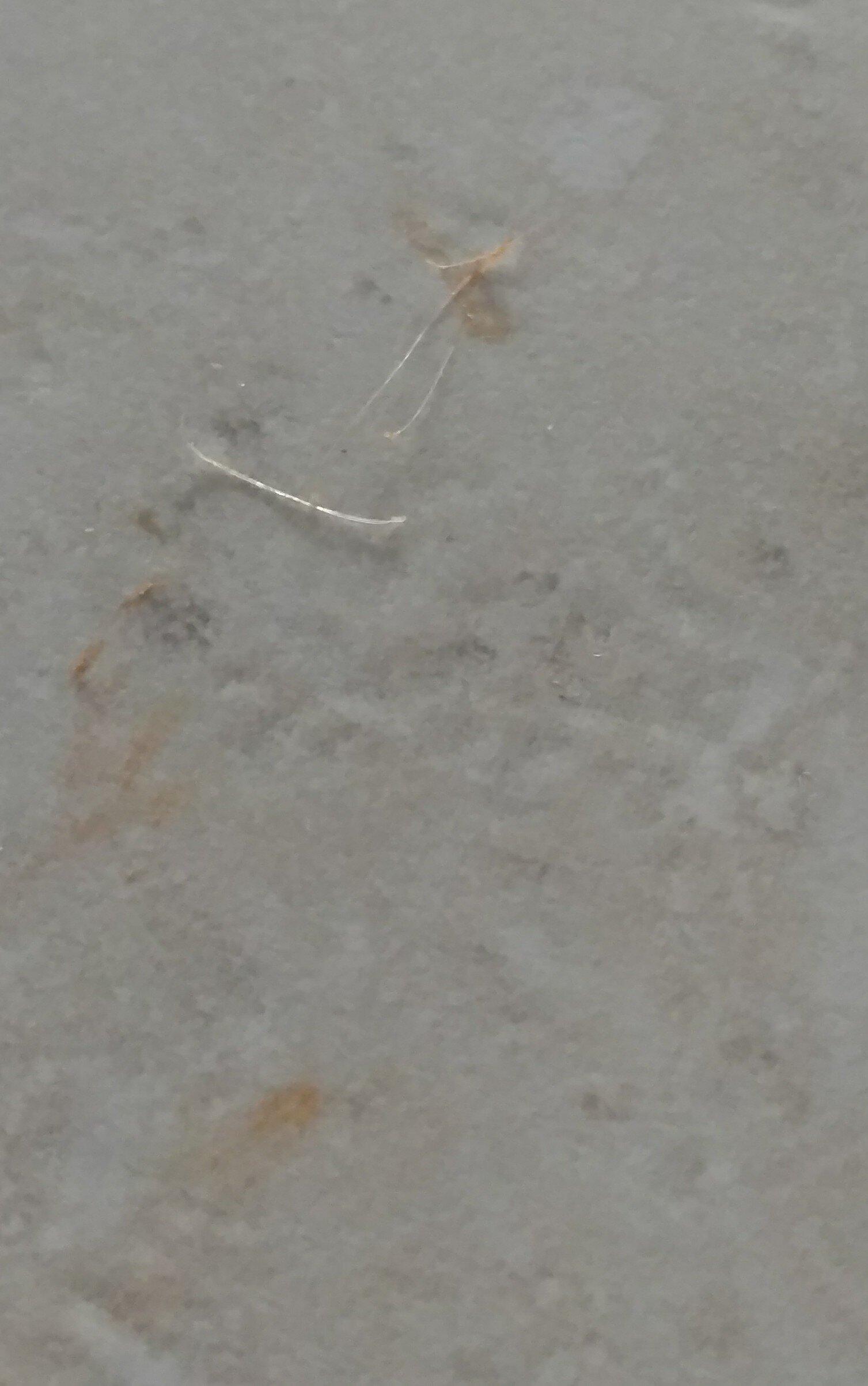 Photo by Namastephanielondon