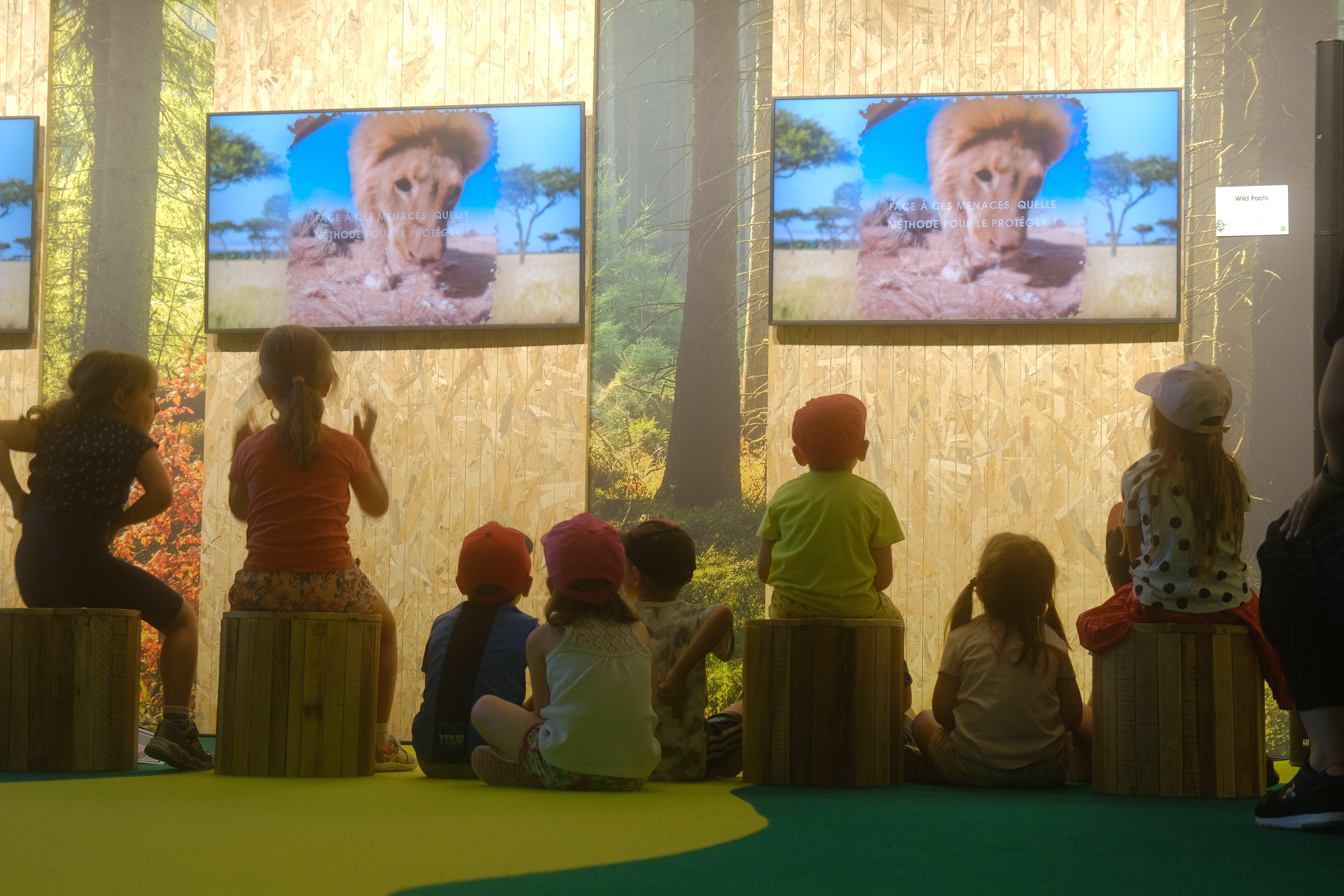 Wild Immersion // Parc Phoenix