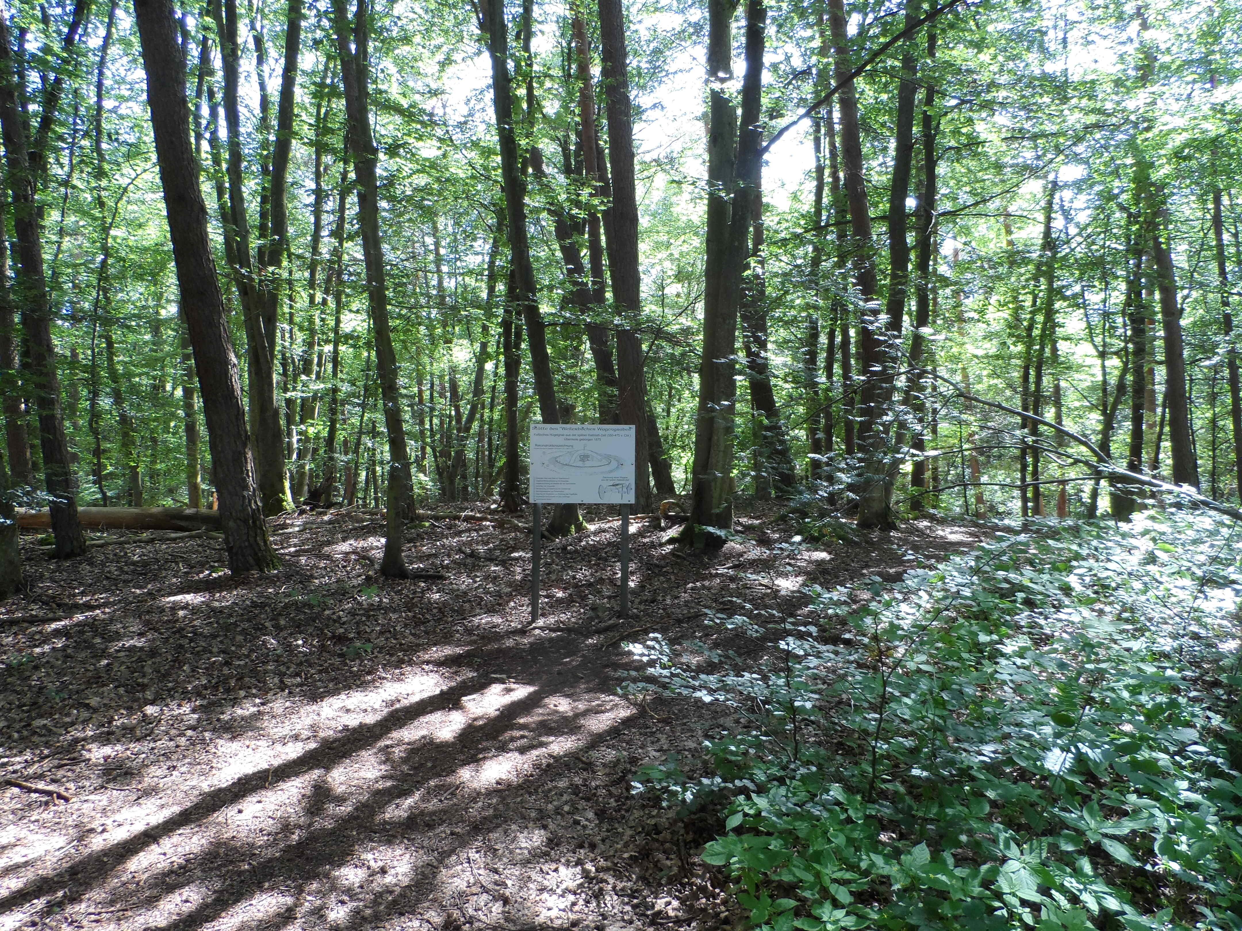 Keltisches Wagengrab Weilerbach