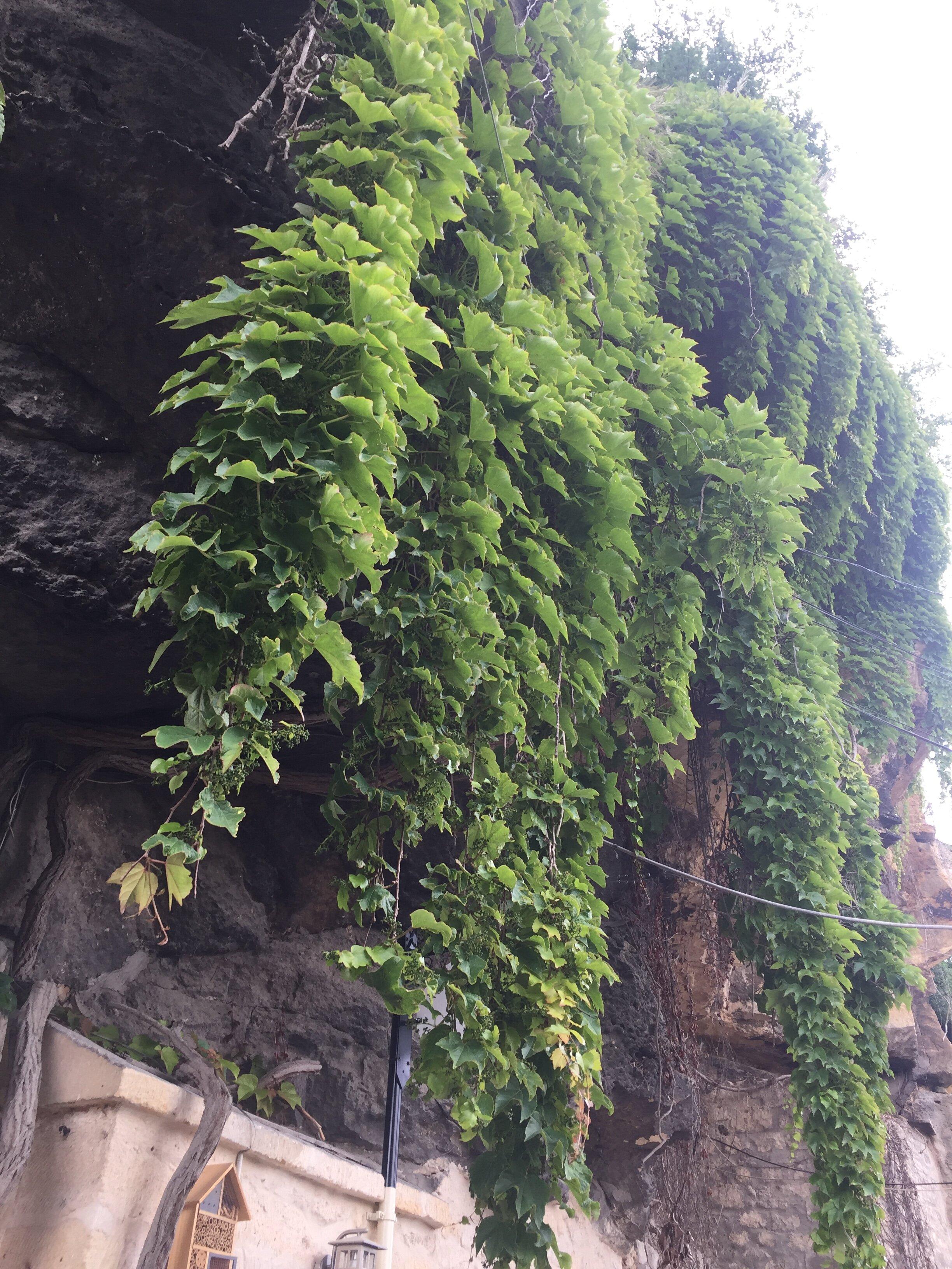 Le Village Troglodyte