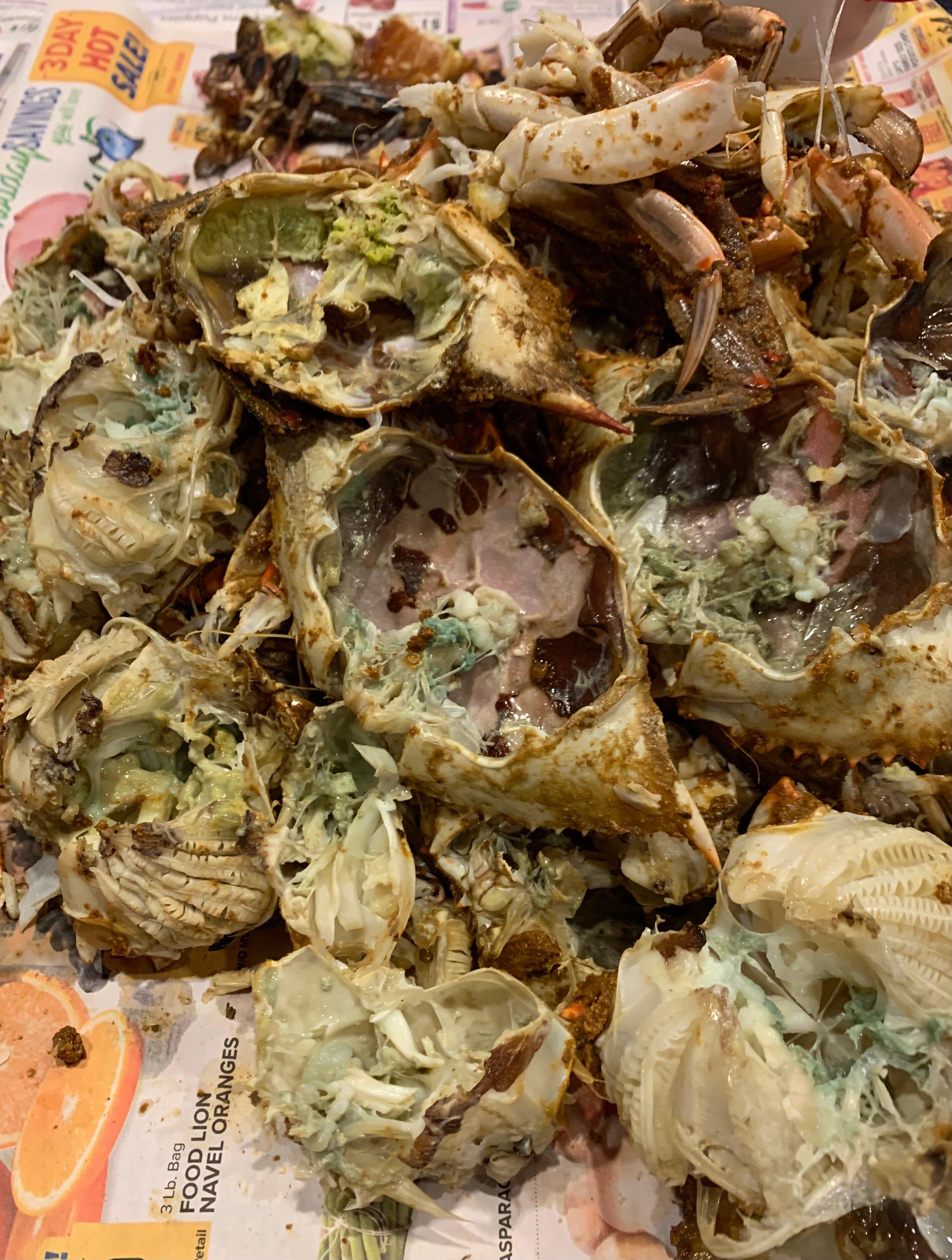 Photo by Gelfish658799