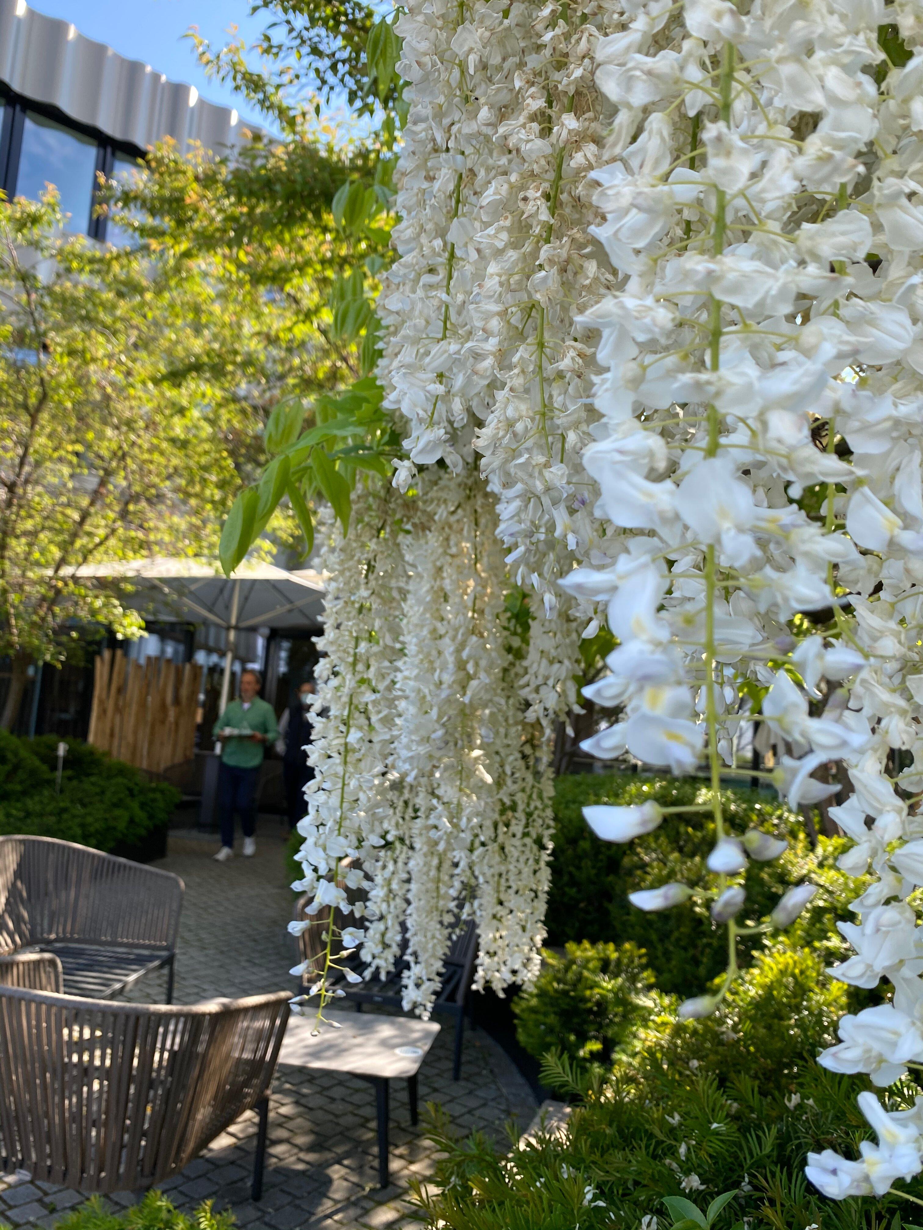 Photo by Foodie_Zuerich