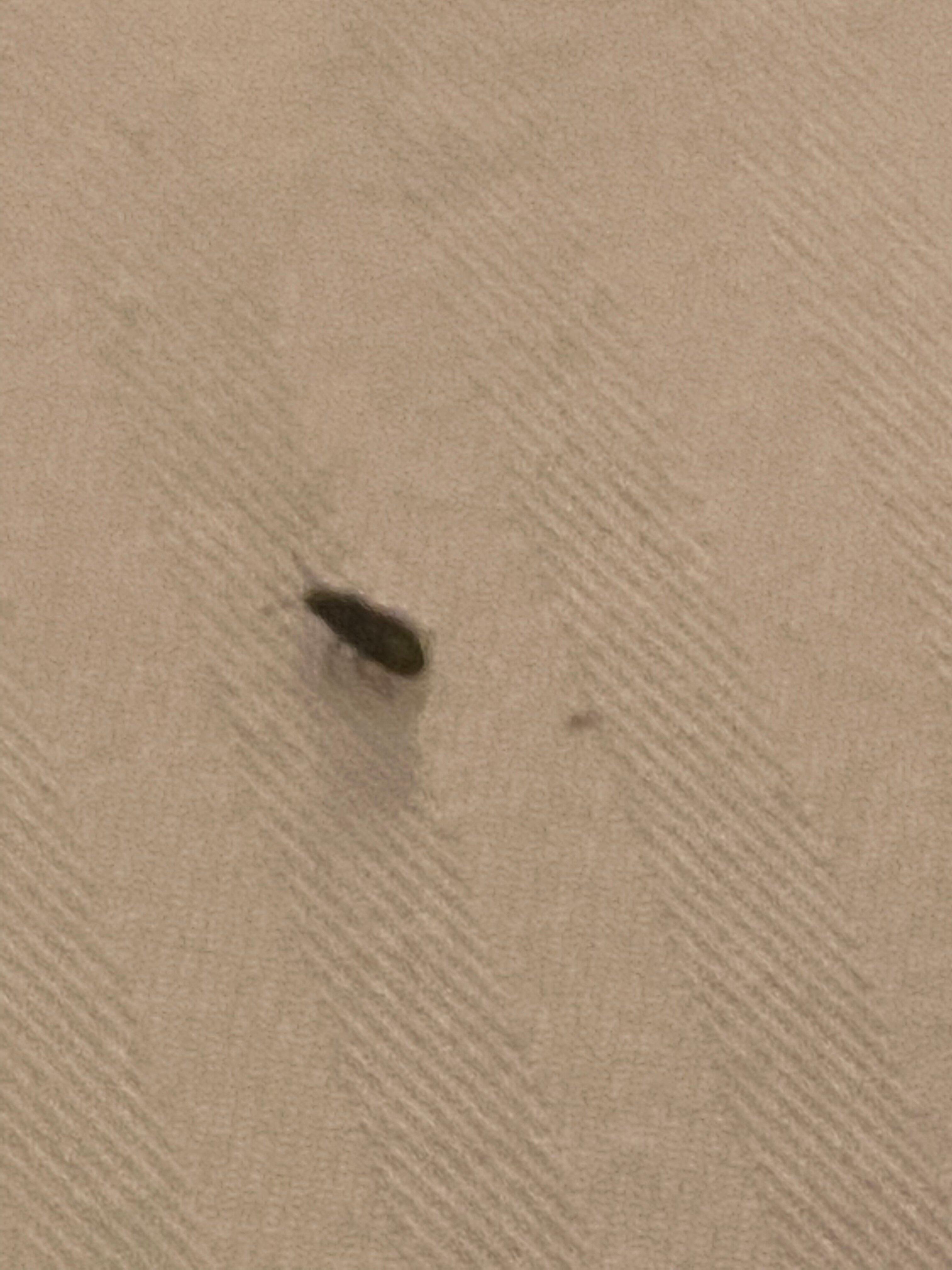 Photo by MarcelleJ877