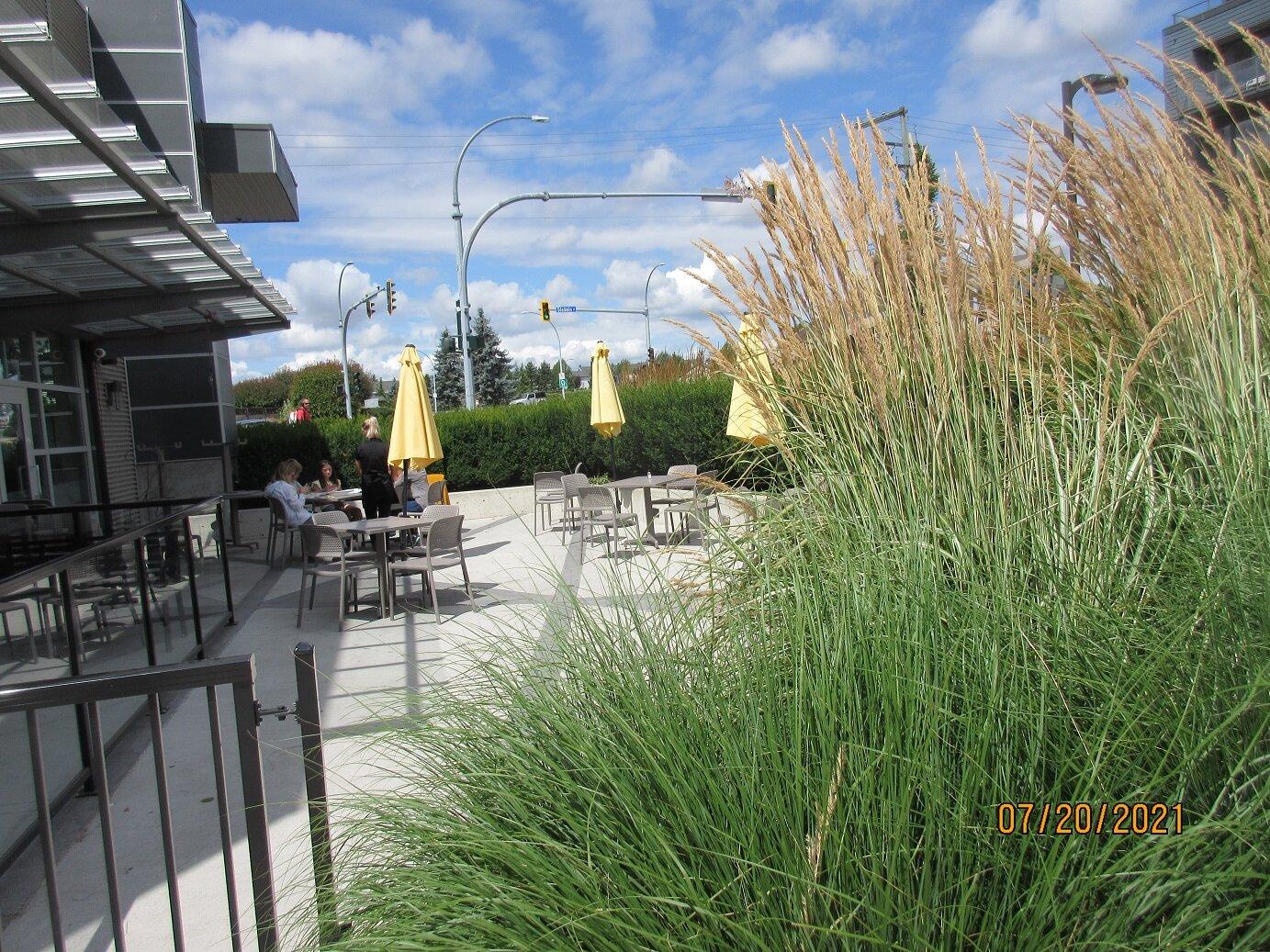 Cora Breakfast & Lunch