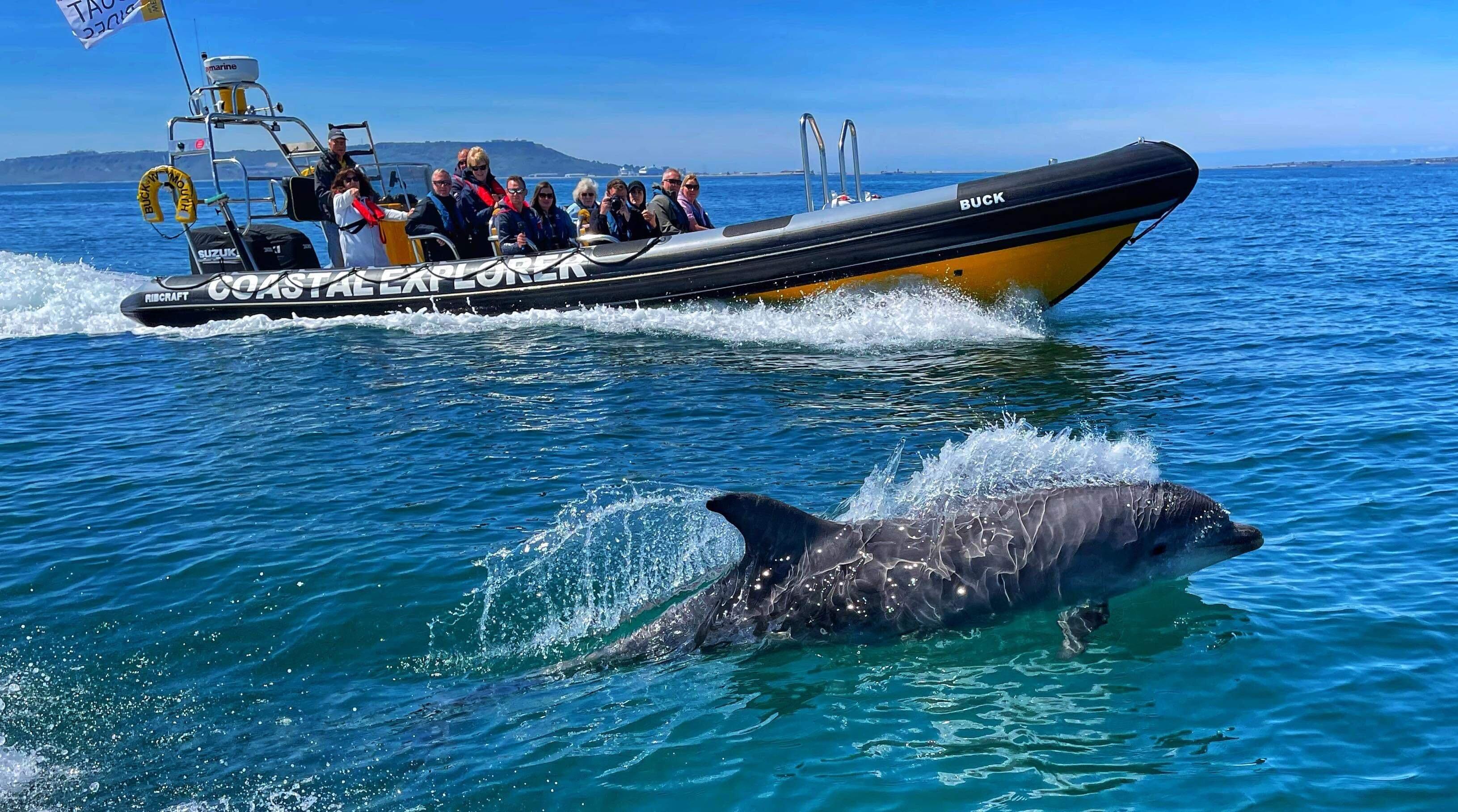 Weymouth Bay Rib Charter