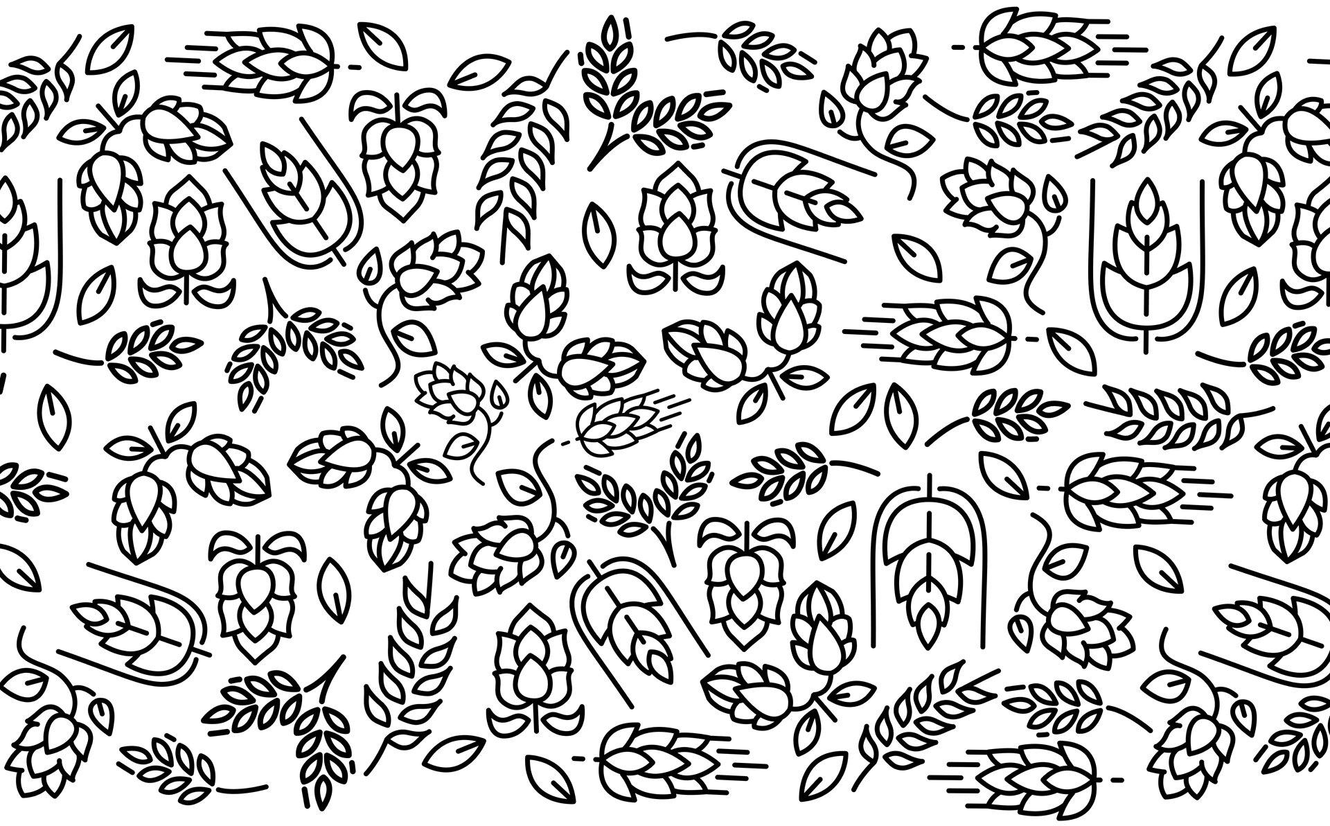 Piwpaw Nr 1 Kraftowe