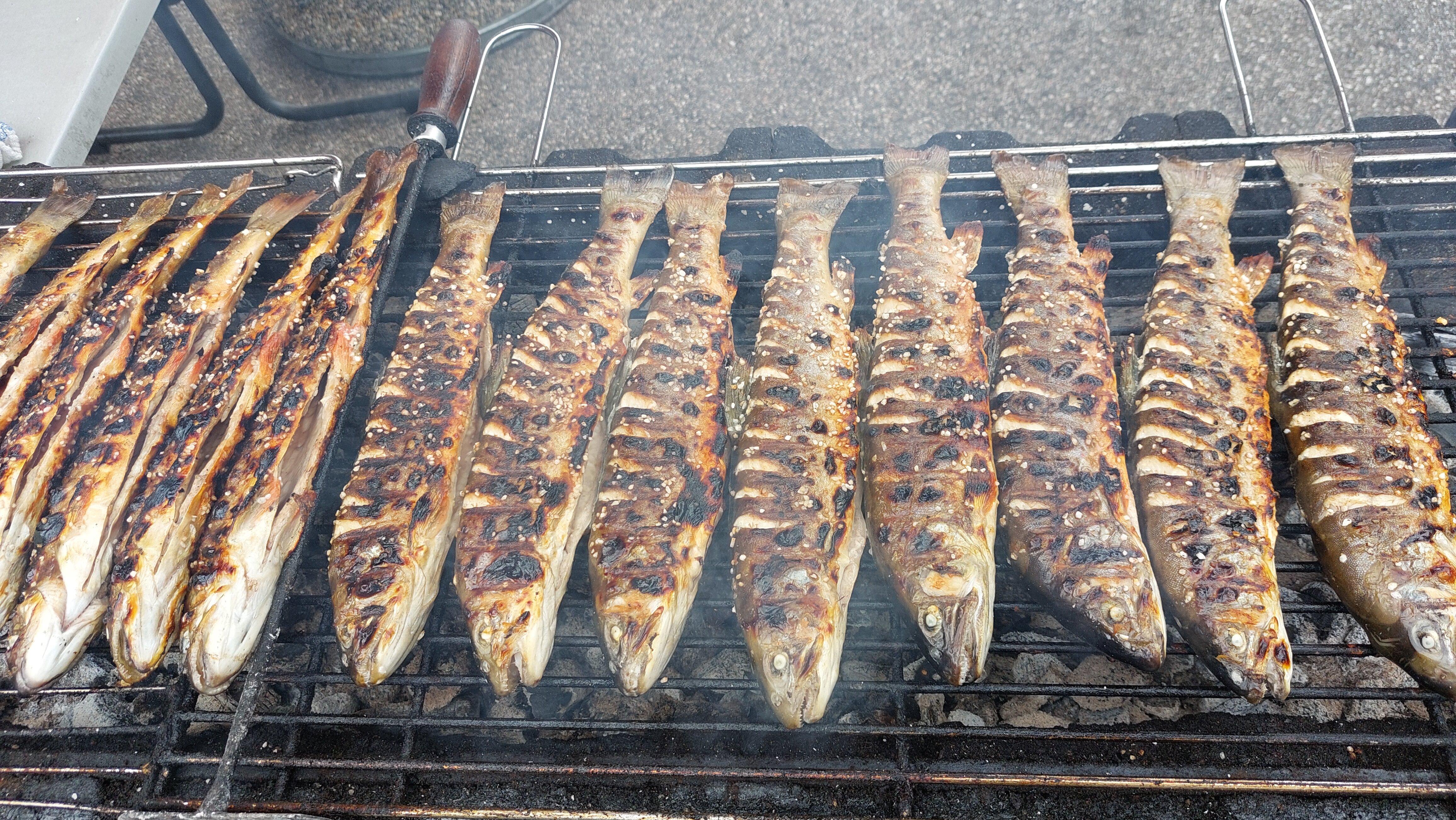 Fischerei Trawöger - Dorfner