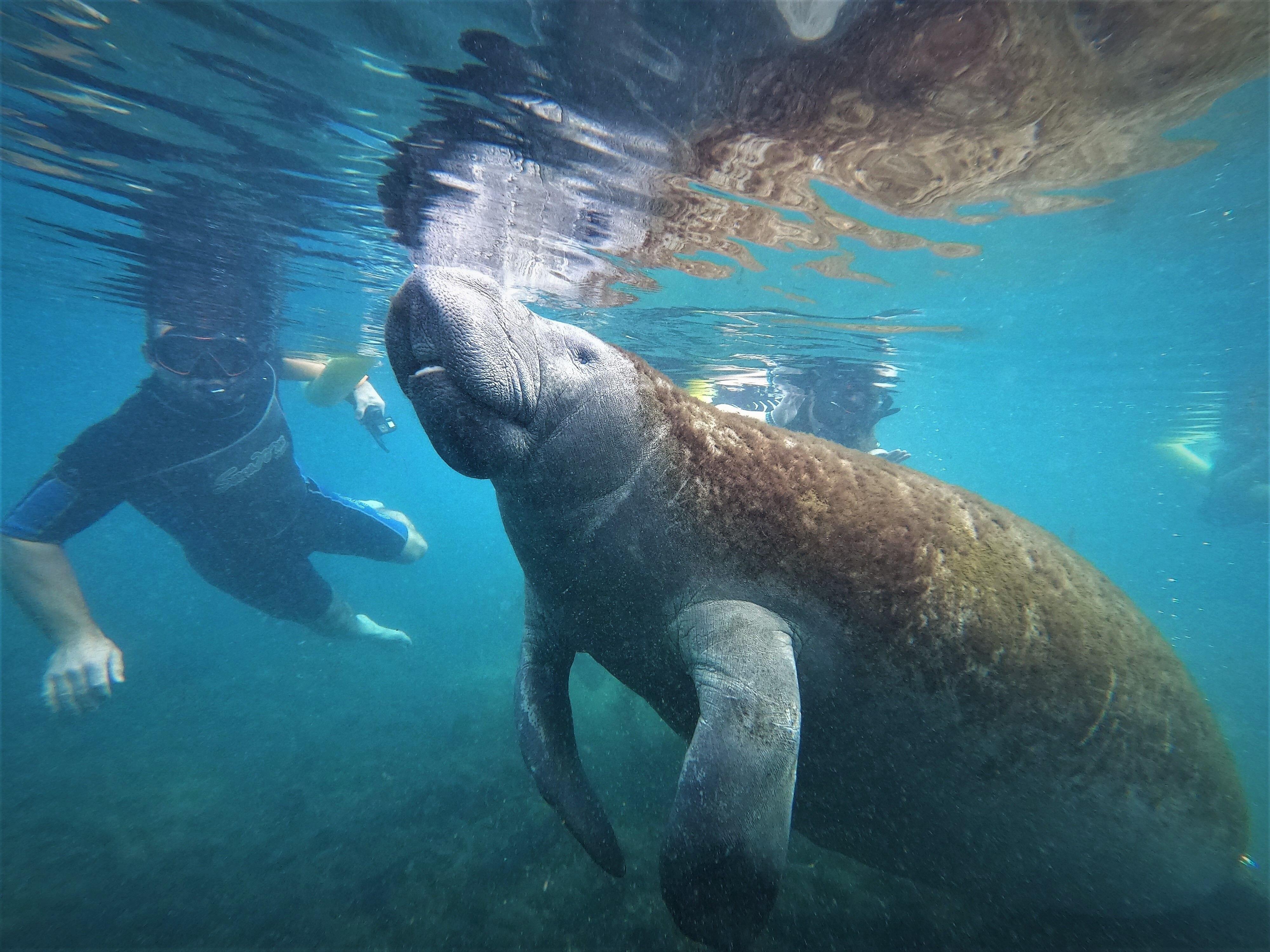 City Sightseeing Orlando