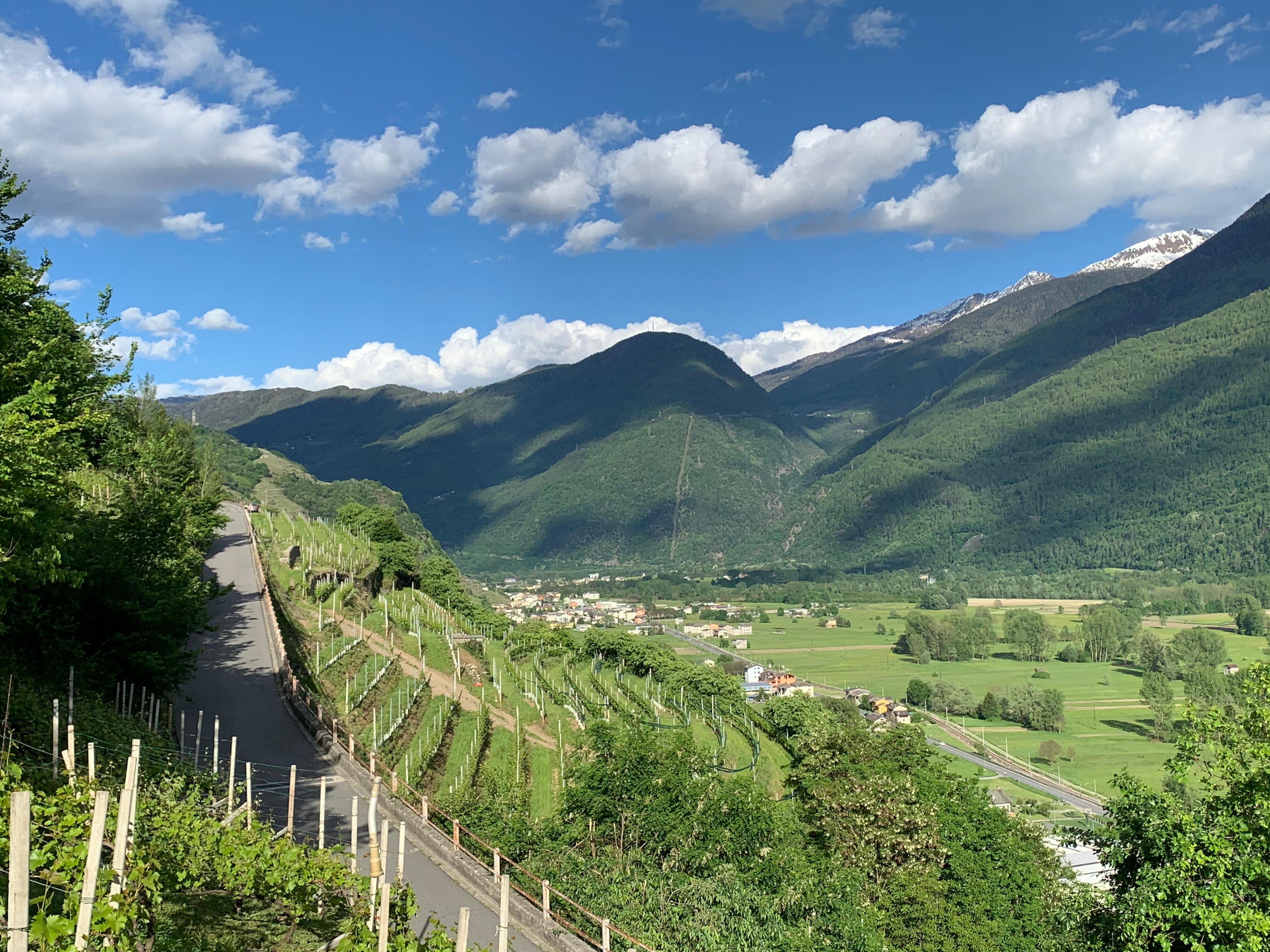 Balgera Vini di Balgera Paolo e C. Sas