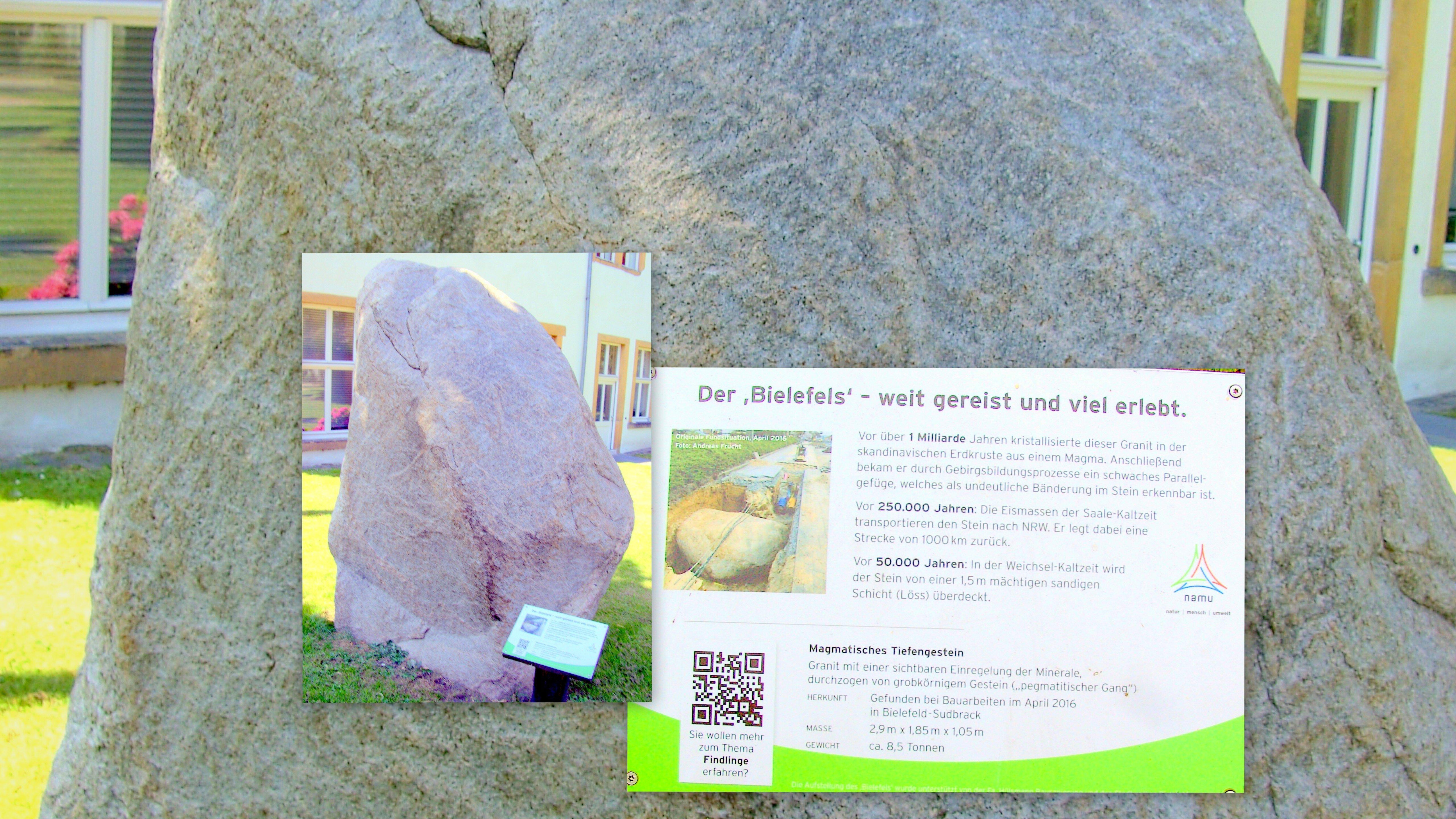 Naturkunde-Museum (namu)