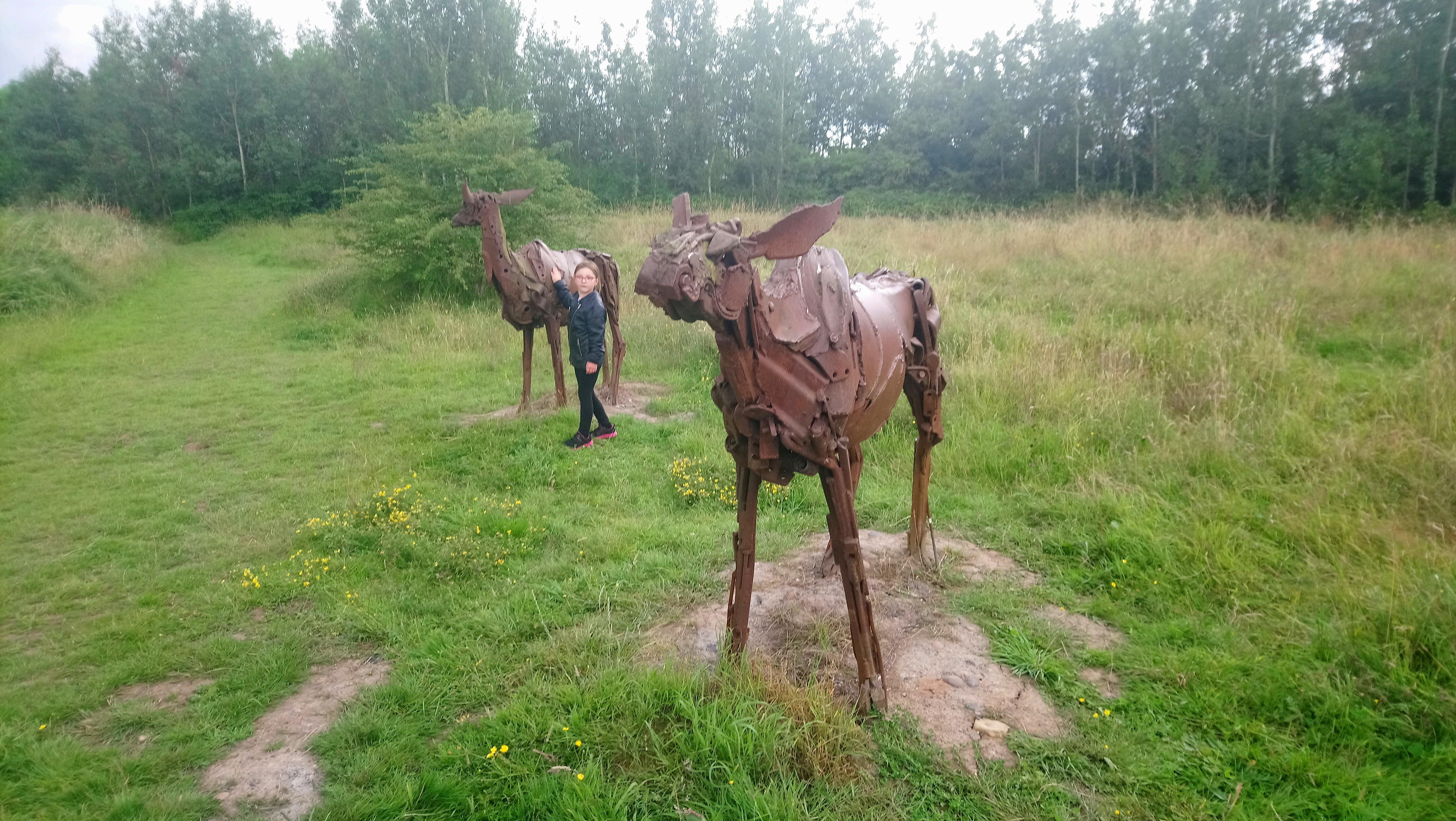 Snibston Colliery Country Park