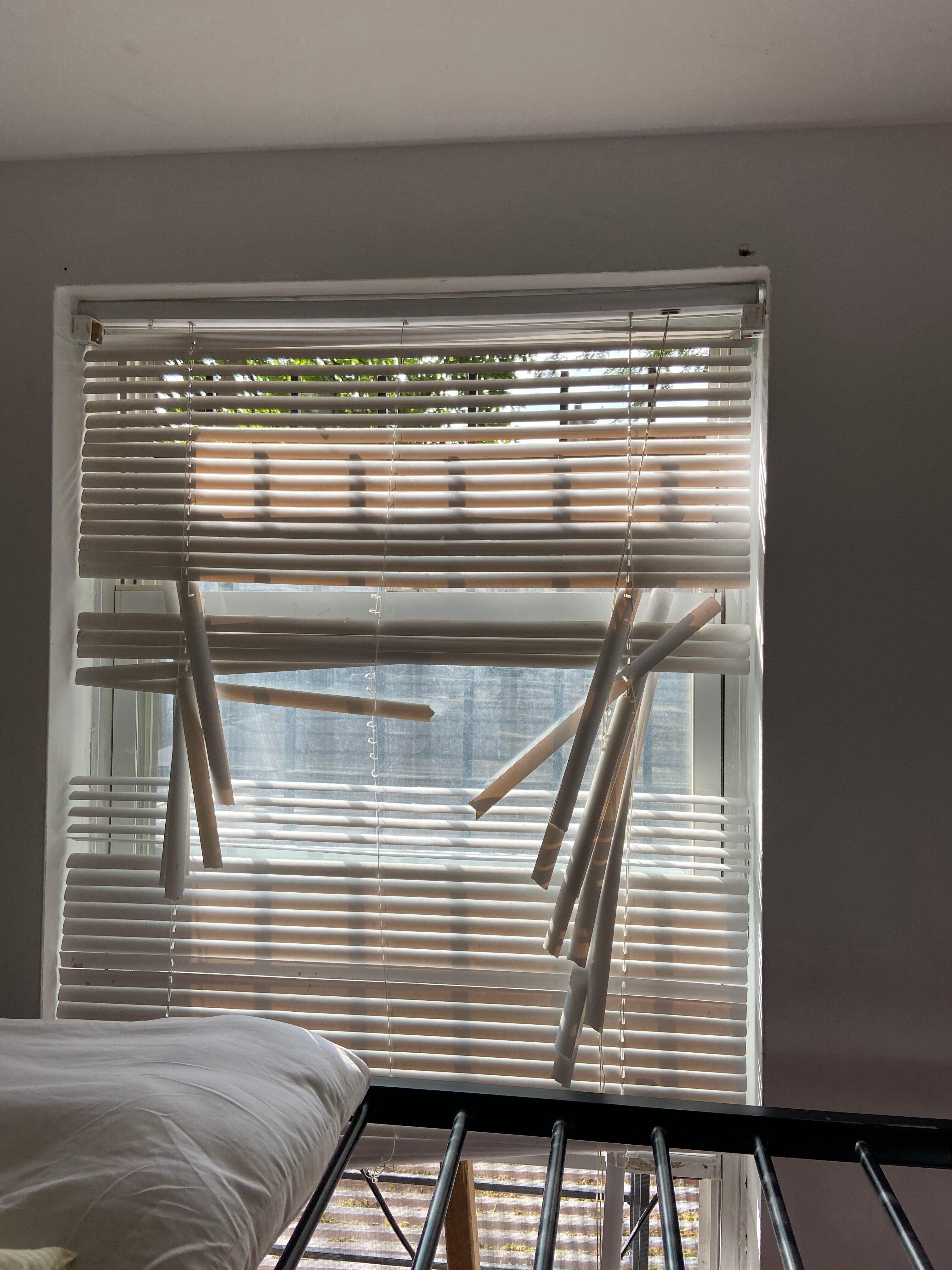 Photo by K6537JQmichaelt