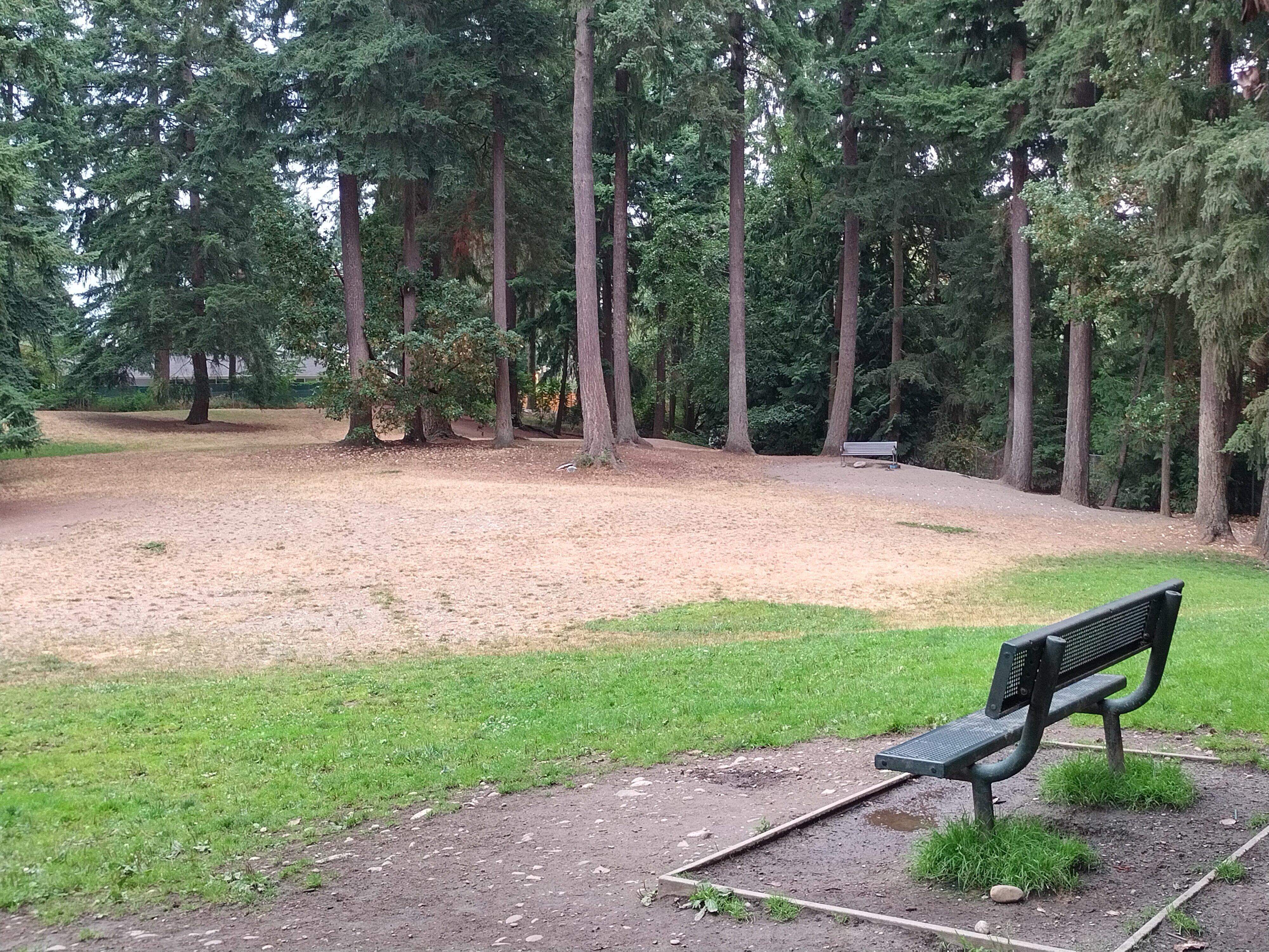 Photo by CATXWASteveG