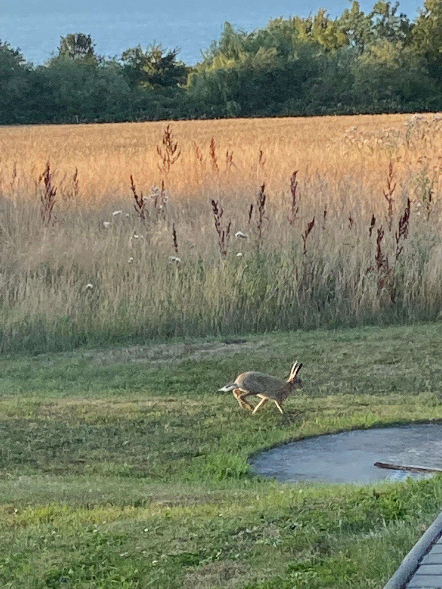 Bornholm Panorama Apartments