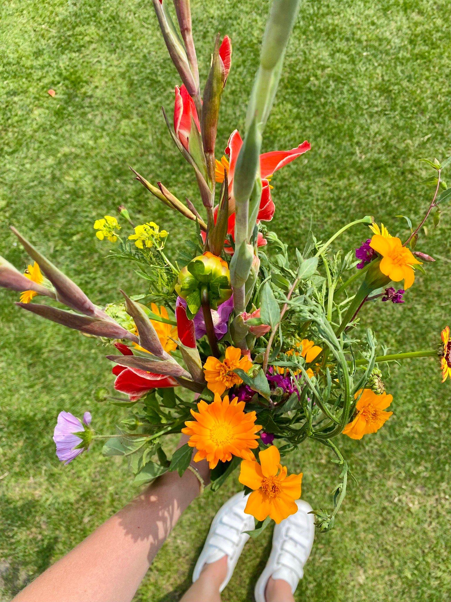 Pluktuin Stoutenburg